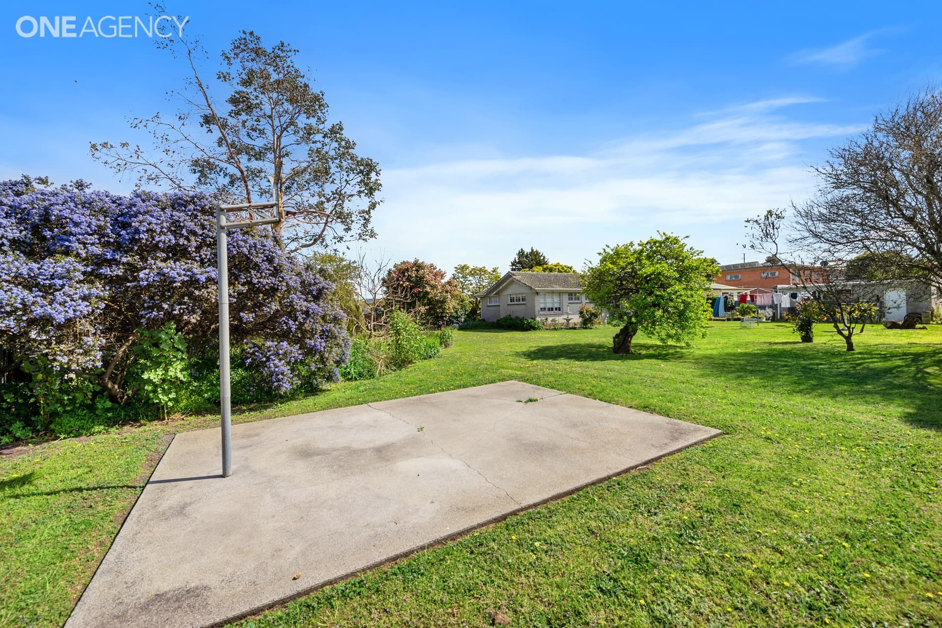 79 Drake Street, Devonport, Devonport - Thumbnail 5