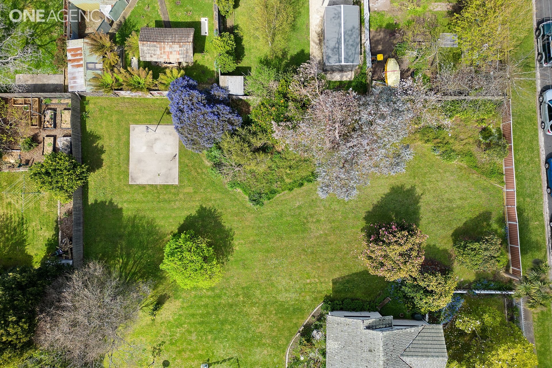 79 Drake Street, Devonport, Devonport - Thumbnail 7