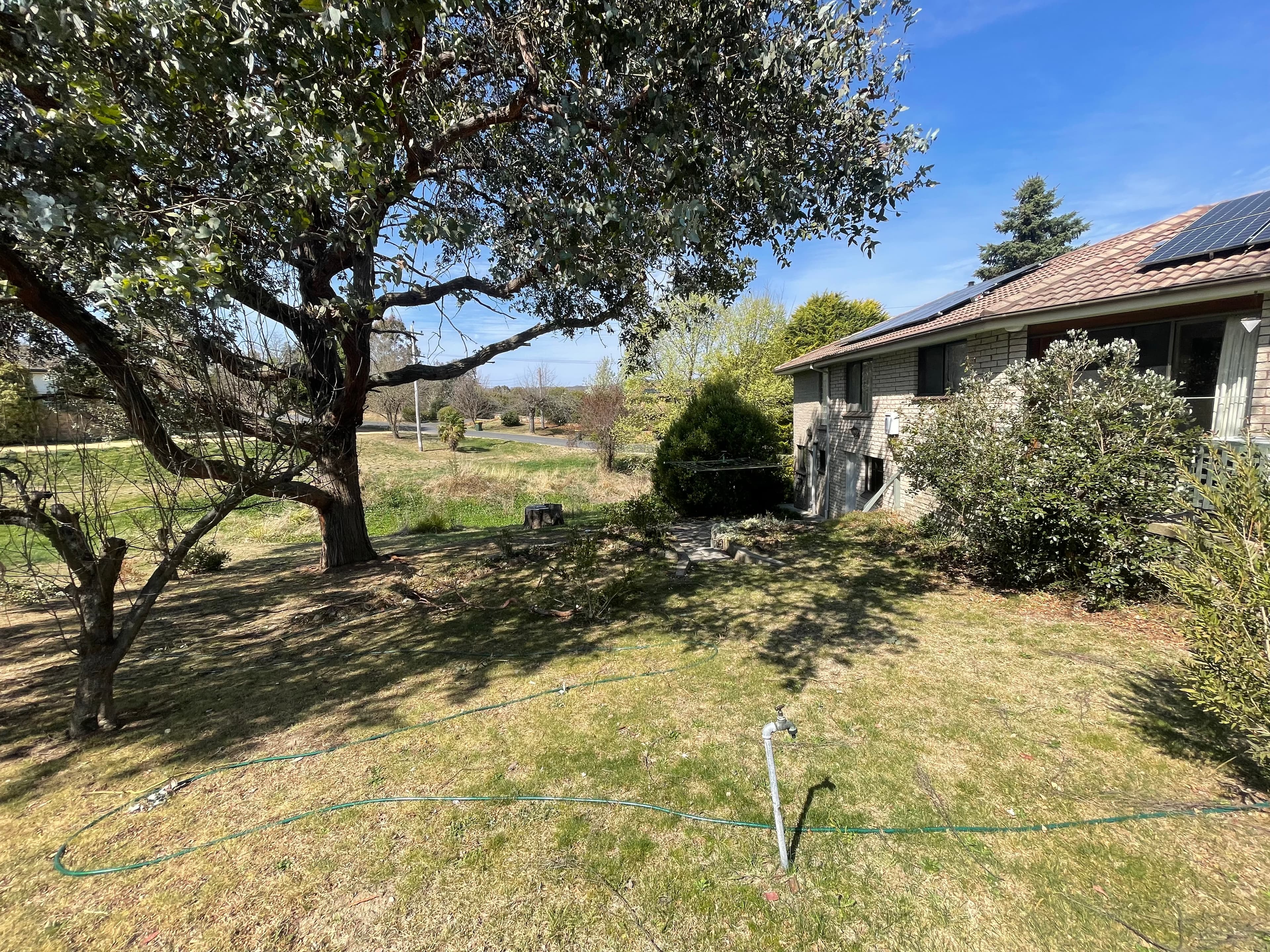 55 Queen Street, Bombala, Bombala - Thumbnail 5
