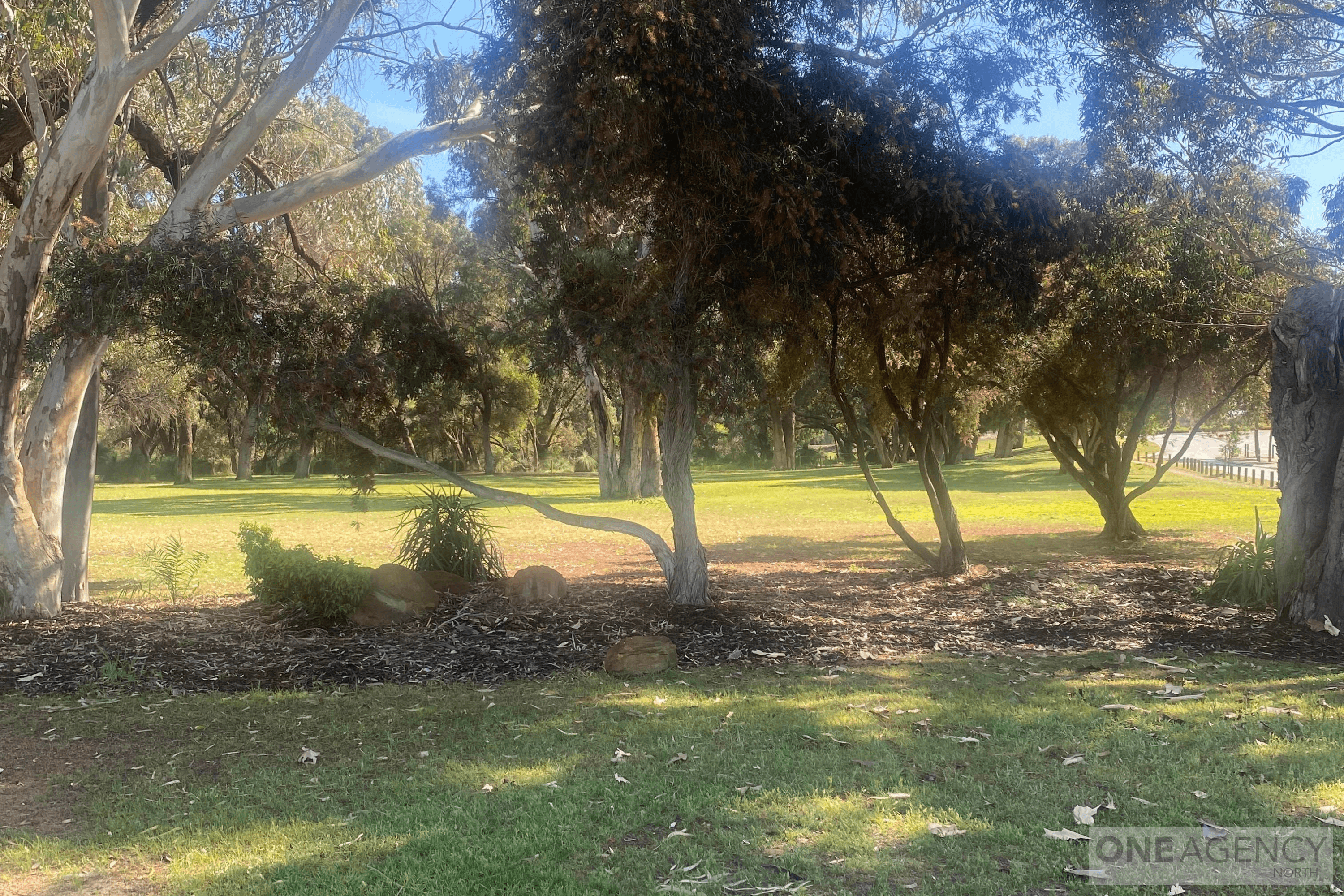 98 Craigie Drive, Craigie, Craigie - Thumbnail 6