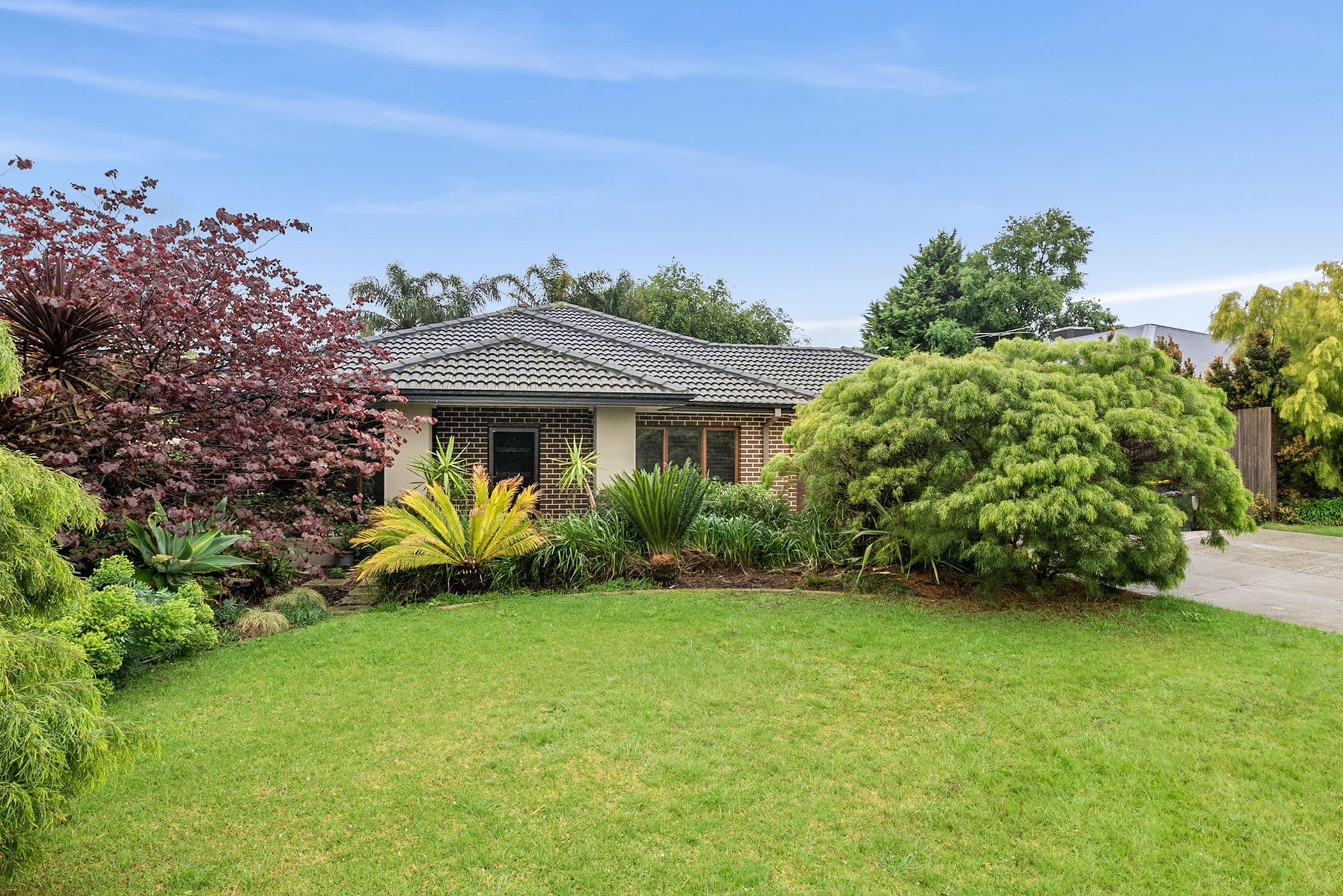 1 Calista Court, Langwarrin, Langwarrin - Image 1