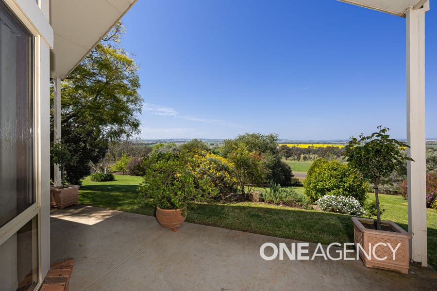 89 BRUCEDALE Drive, Brucedale, Brucedale - Thumbnail 5
