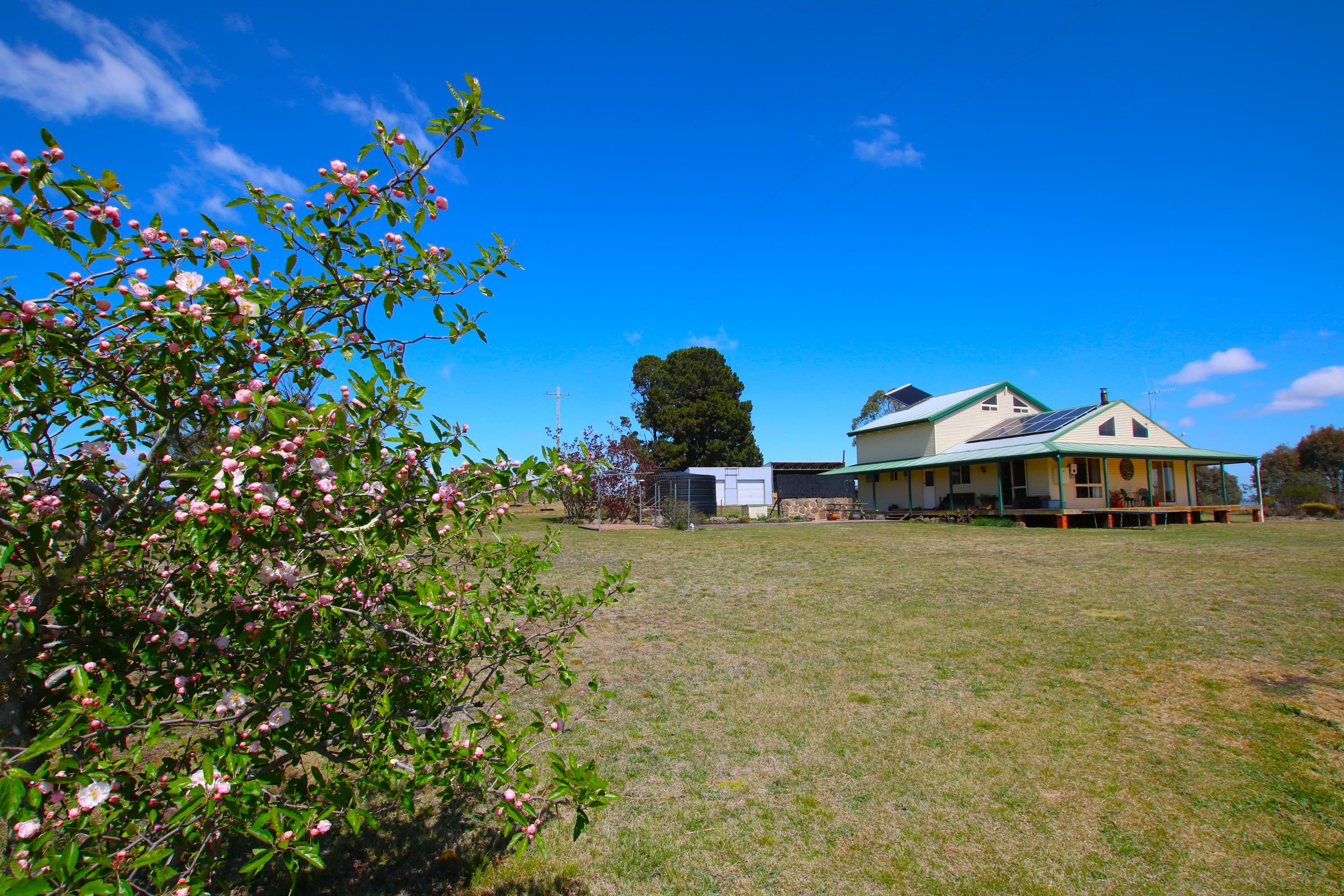 162 High Lake Road, Bombala, Bombala - Thumbnail 7