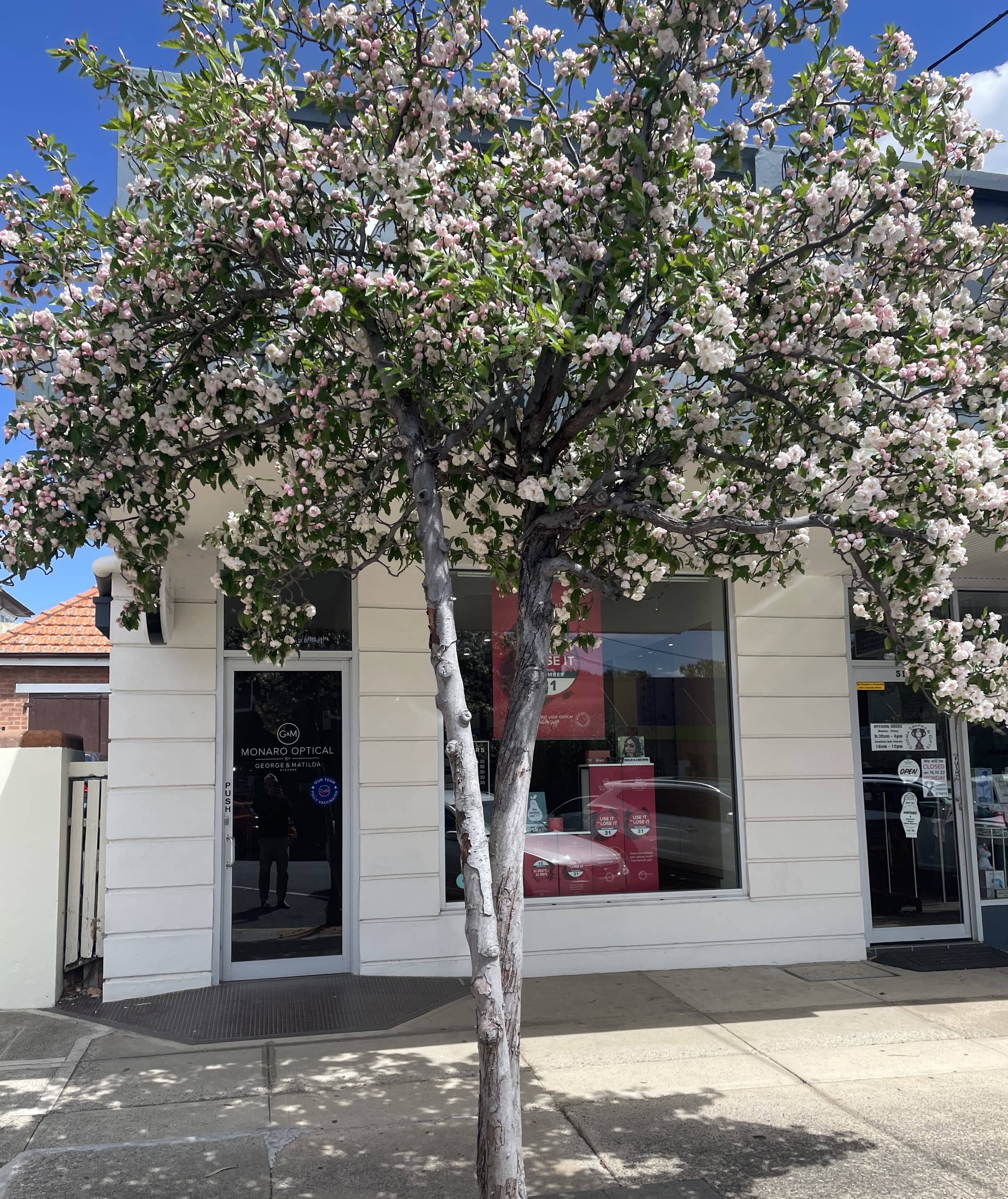 53 Vale Street, Cooma, Cooma - Thumbnail 2