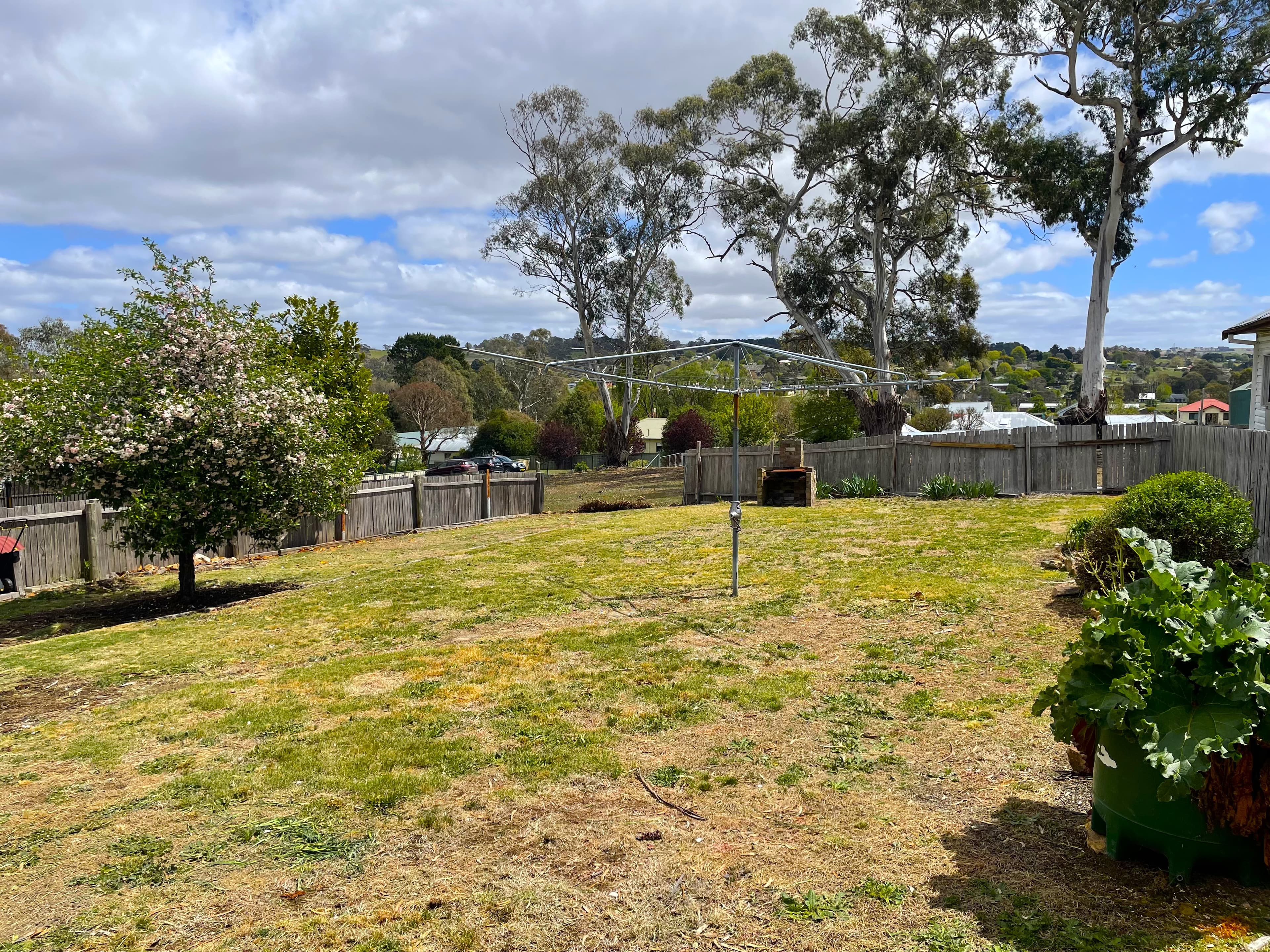 15 Wellington Street, Bombala, Bombala - Thumbnail 5