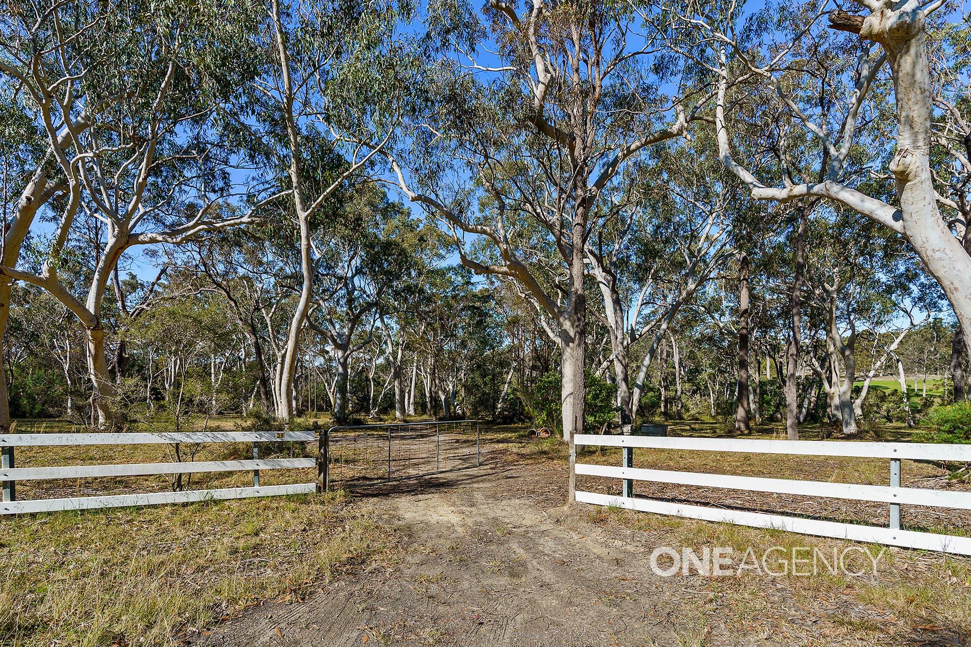 38 Hill Street, Tomerong, Tomerong - Thumbnail 3