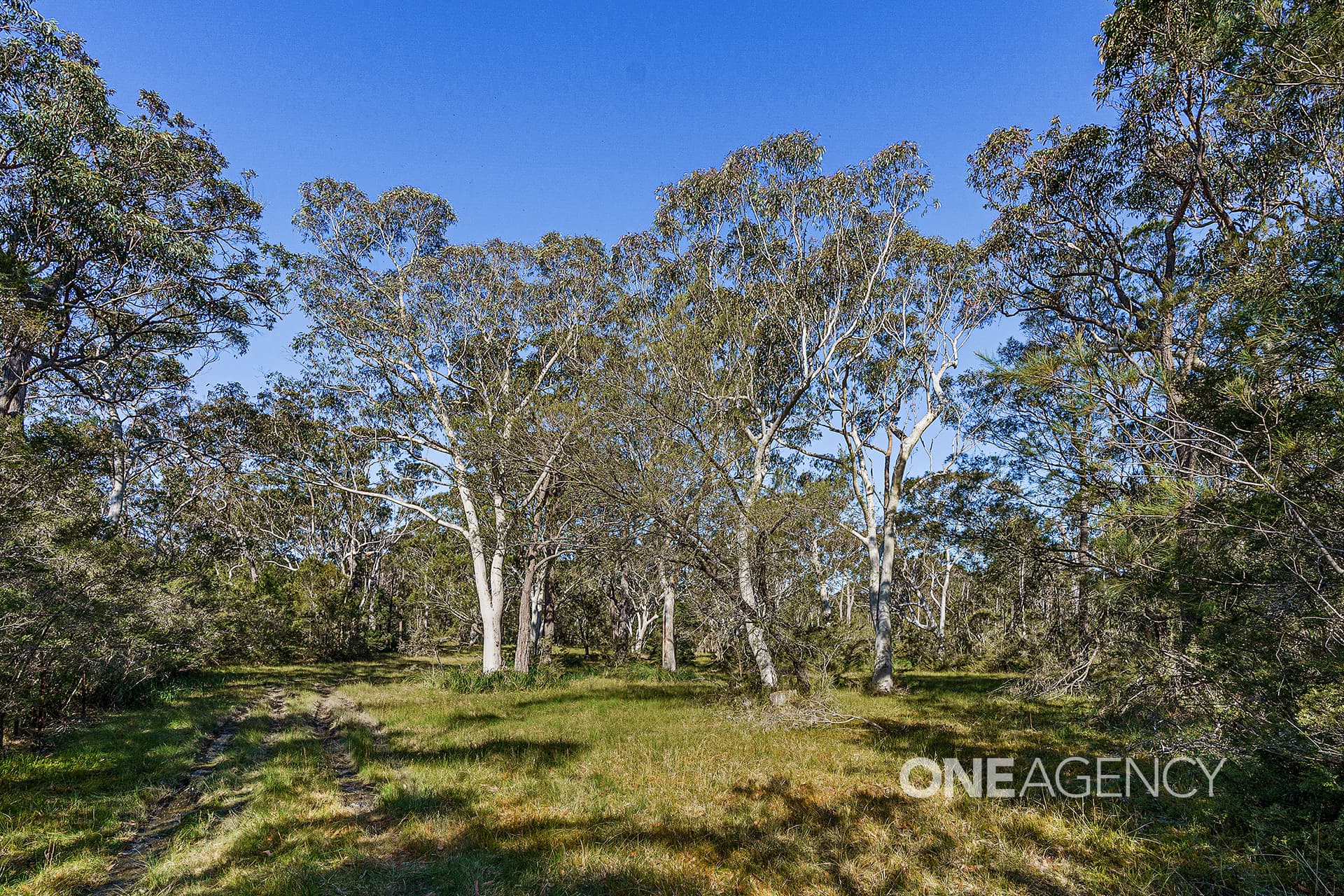 38 Hill Street, Tomerong, Tomerong - Thumbnail 5