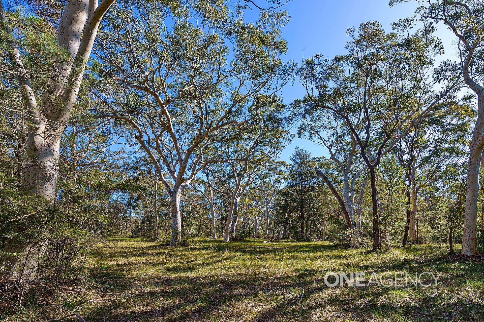 38 Hill Street, Tomerong, Tomerong - Thumbnail 6