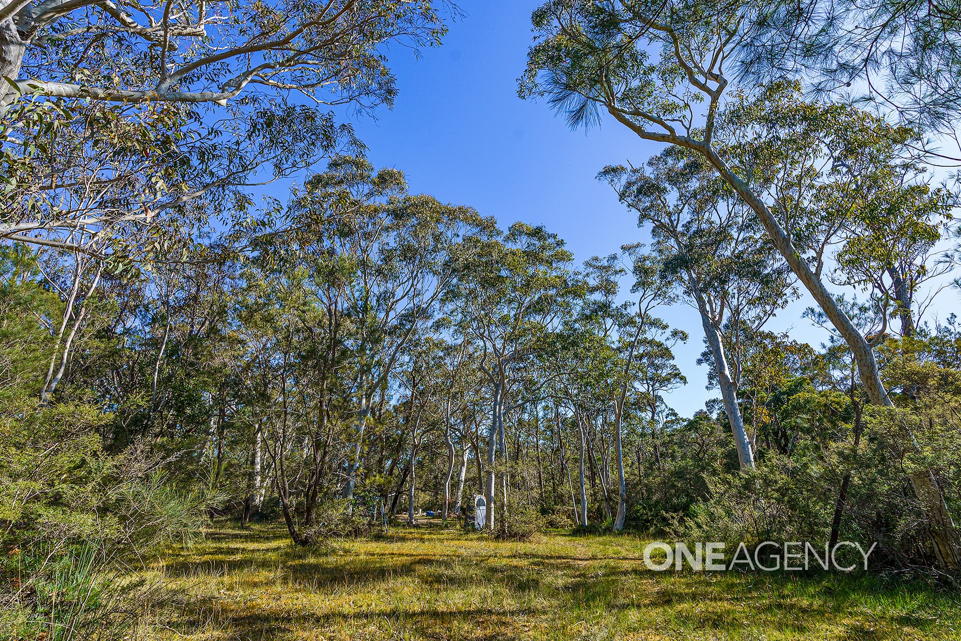 38 Hill Street, Tomerong, Tomerong - Thumbnail 7