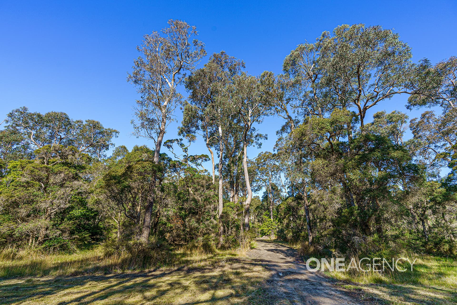 38 Hill Street, Tomerong, Tomerong - Thumbnail 8