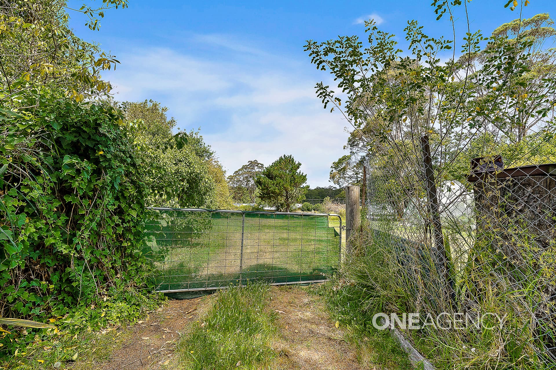 383 Hawken Road, Tomerong, Tomerong - Thumbnail 4