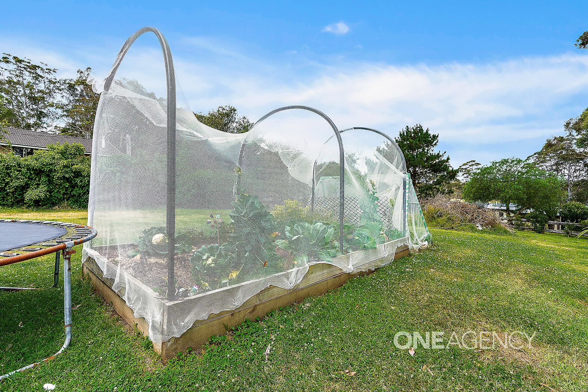 383 Hawken Road, Tomerong, Tomerong - Thumbnail 5