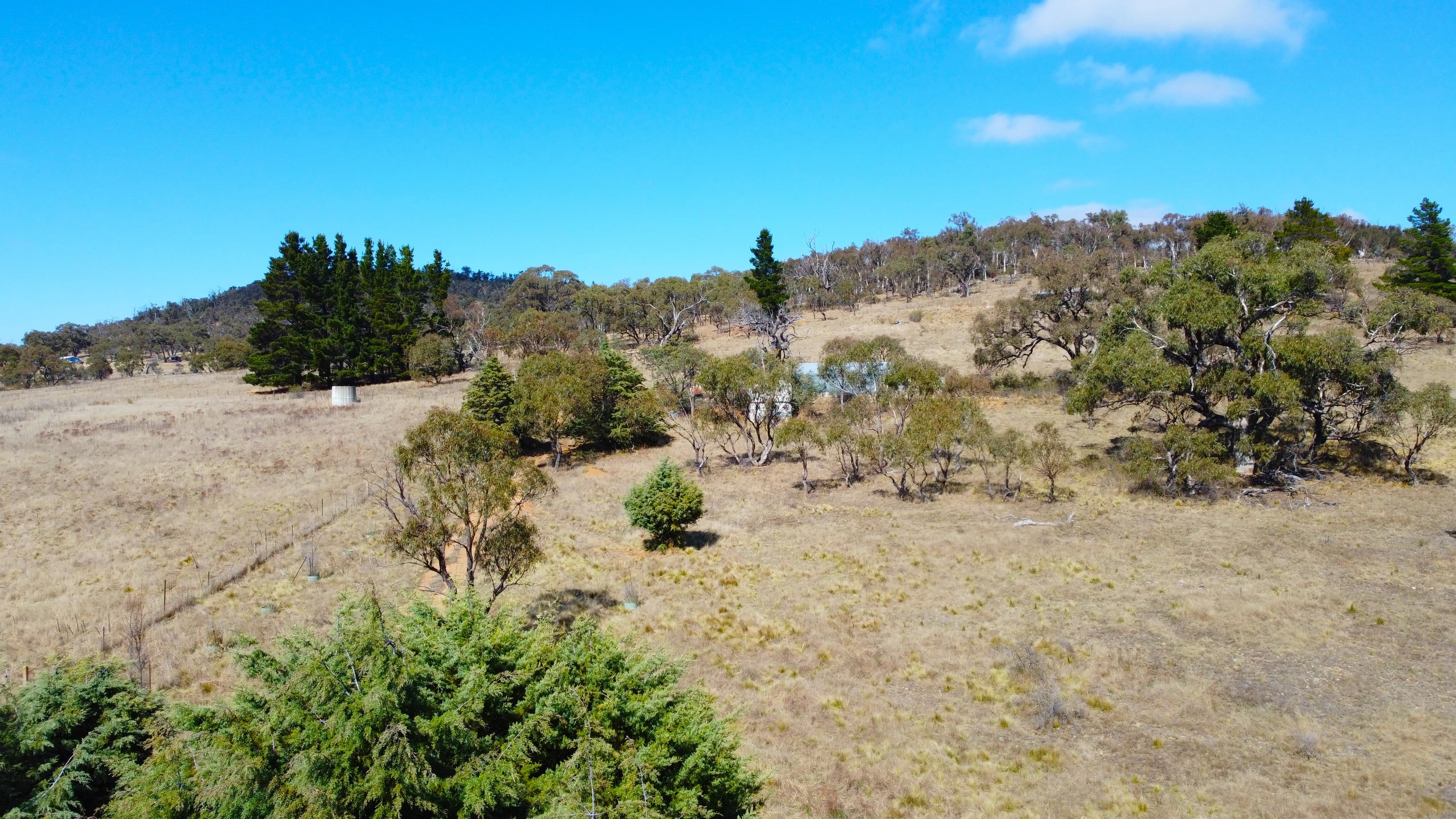 466 Rothlyn Road, Chakola, Chakola - Thumbnail 5