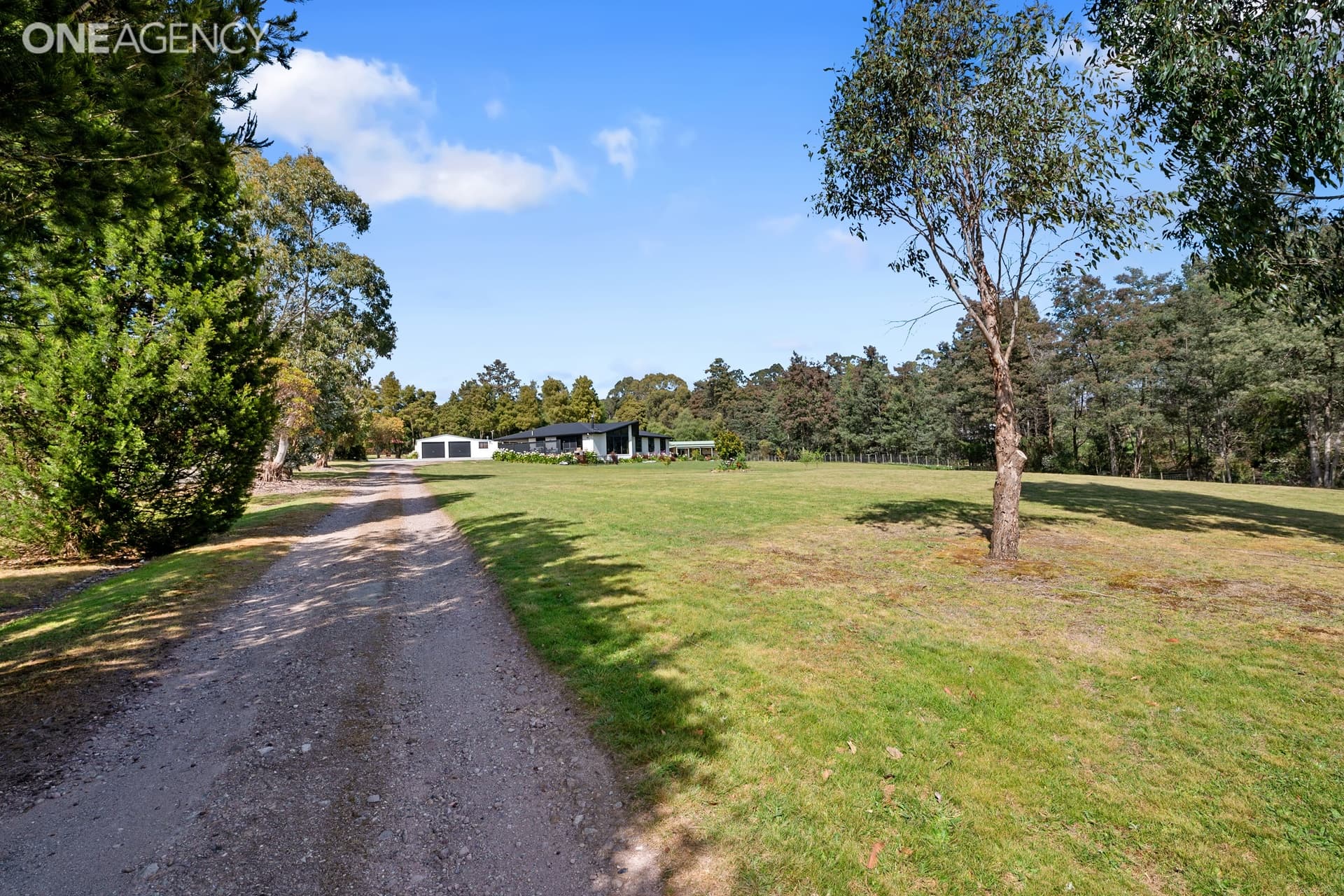 168 Clayton Drive, Spreyton, Spreyton - Thumbnail 4