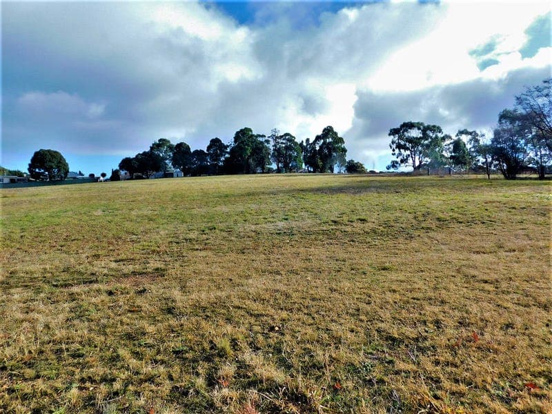 1-11  Chusan Street, Bombala, Bombala - Thumbnail 8