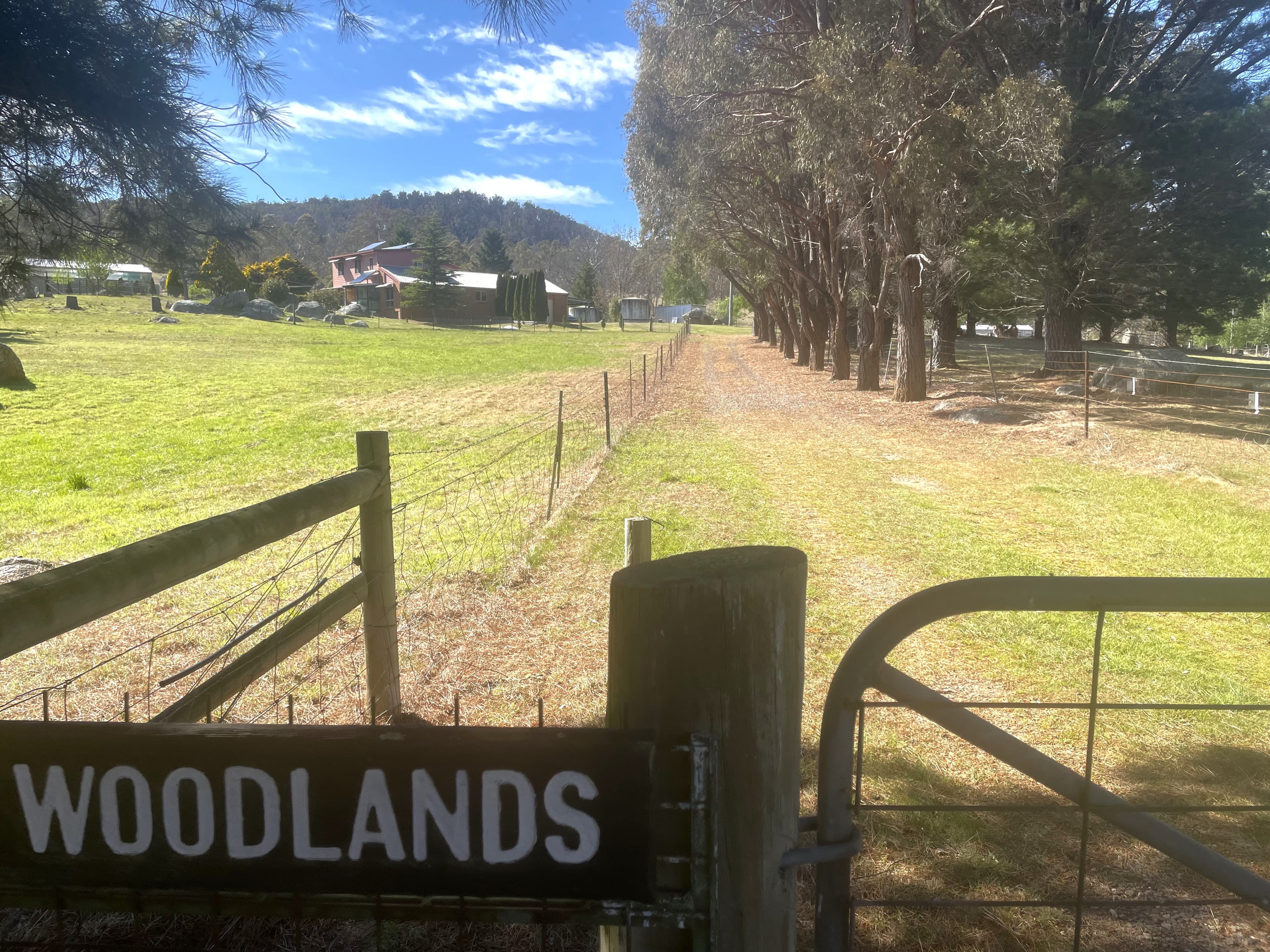 232 Narrowness Road, Creewah, Creewah - Thumbnail 4