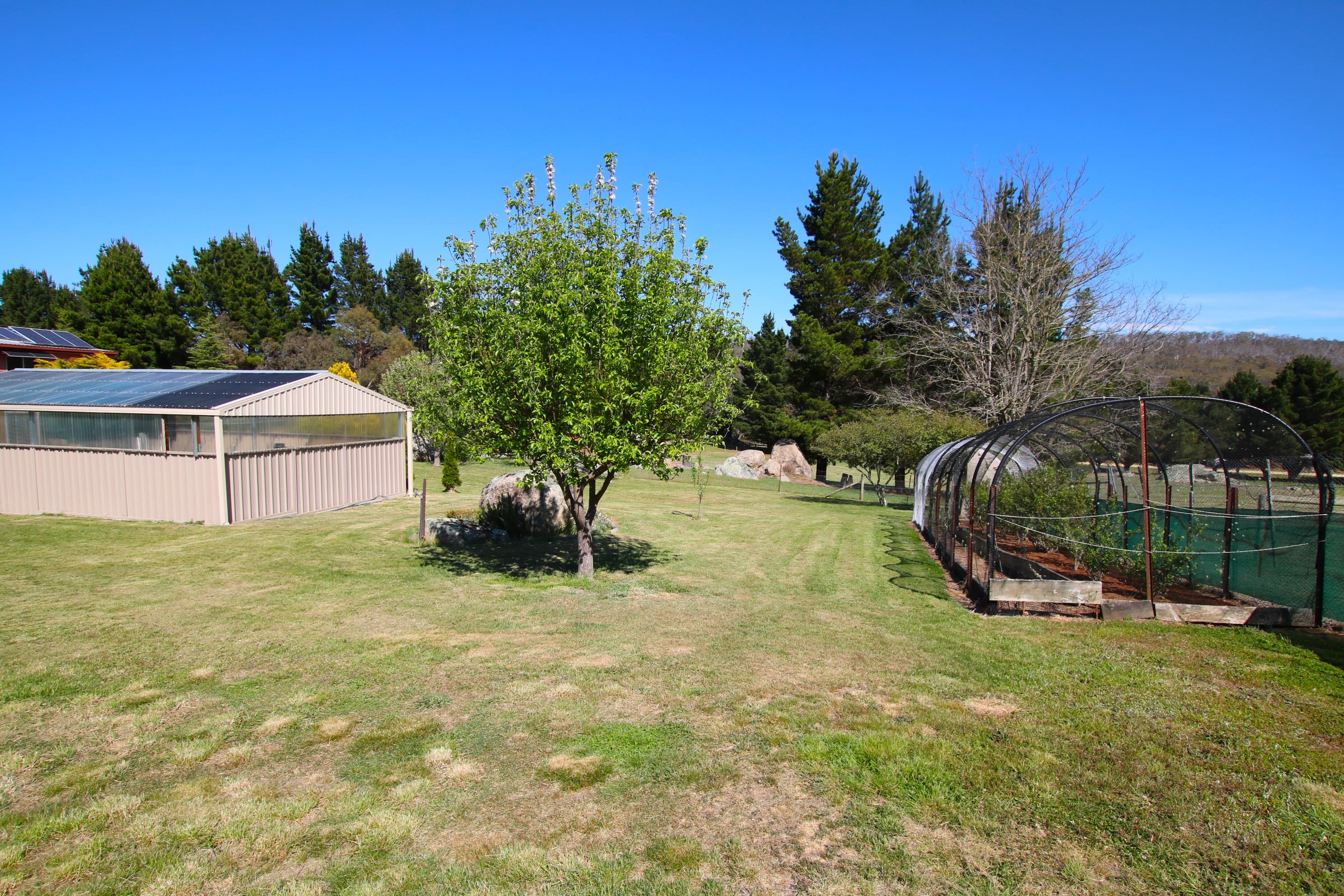 232 Narrowness Road, Creewah, Creewah - Thumbnail 5