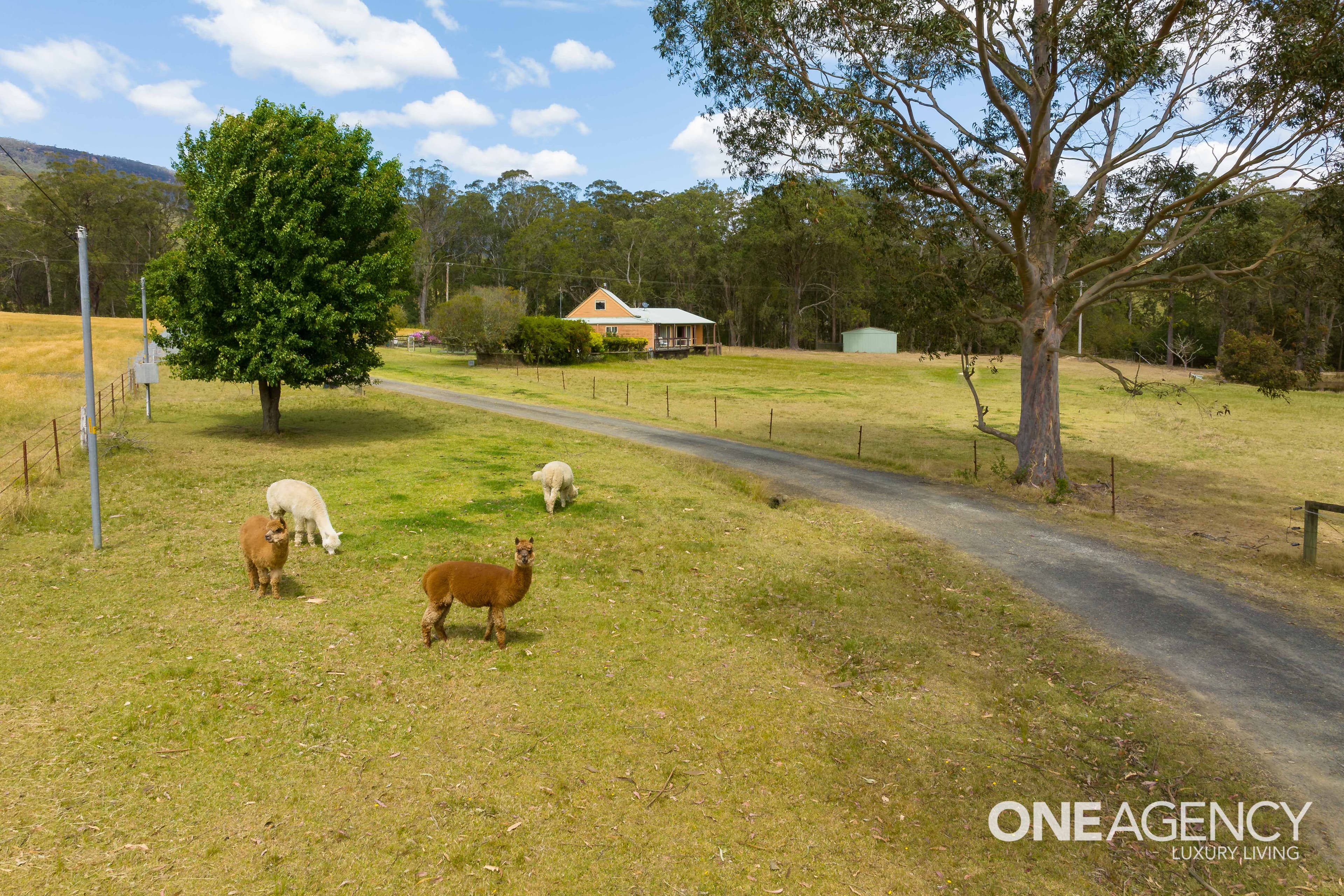 47C Mount Scanzi Road, Kangaroo Valley, Kangaroo Valley - Thumbnail 3
