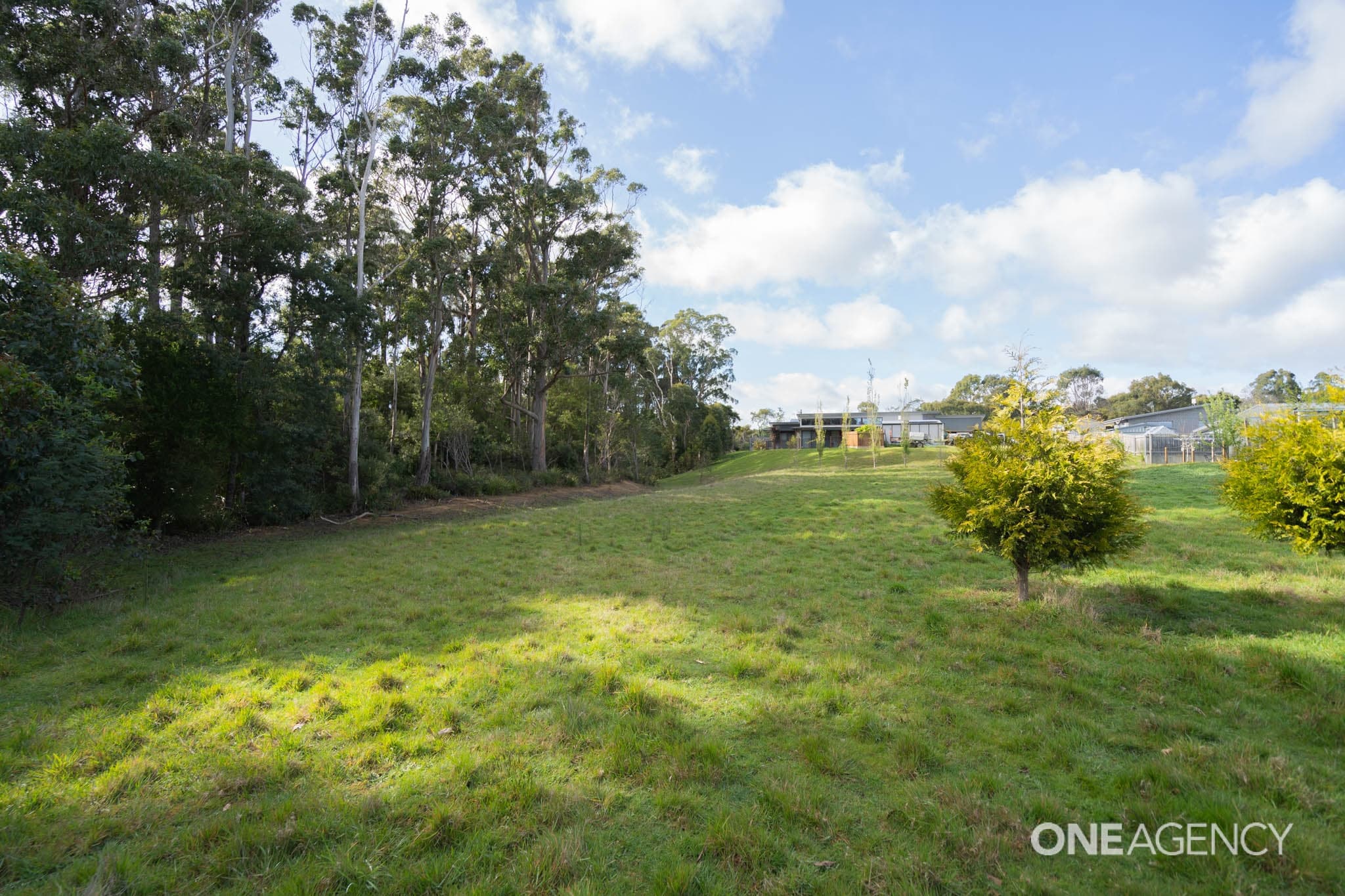 1 King Drive, Wynyard, Wynyard - Thumbnail 5