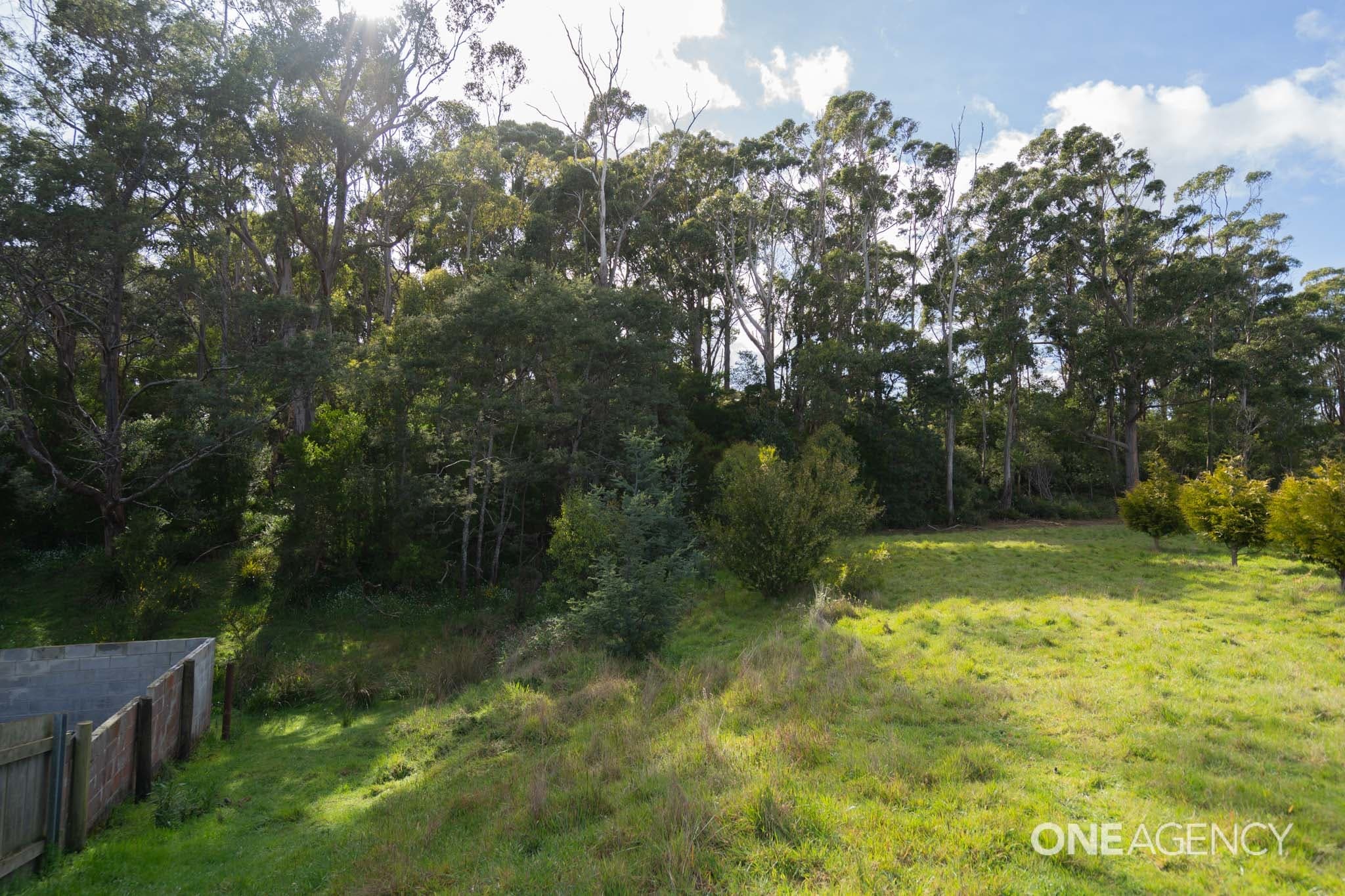1 King Drive, Wynyard, Wynyard - Thumbnail 6