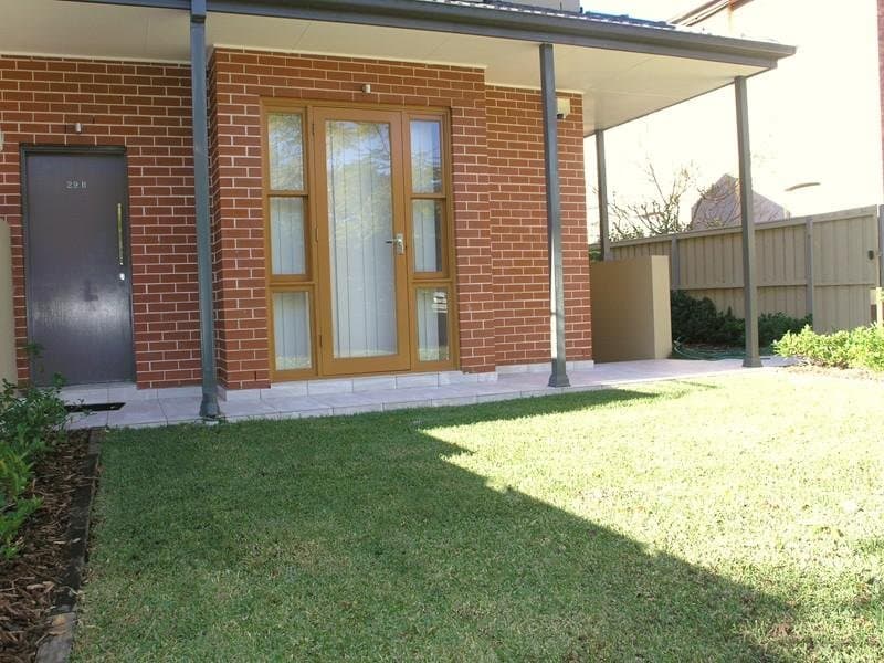 29B Archer Street, Chatswood, Chatswood - Thumbnail 5