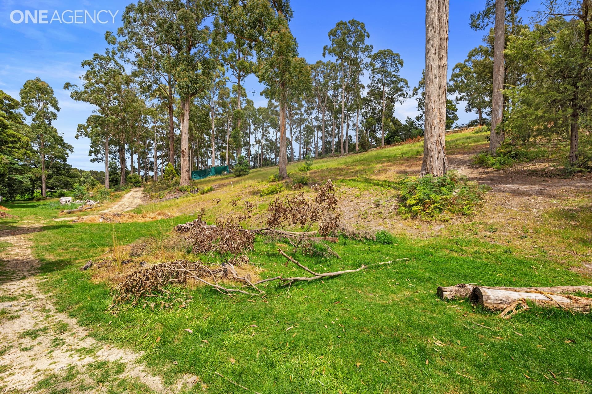 3 Wattlepod Court, Spreyton, Spreyton - Thumbnail 4