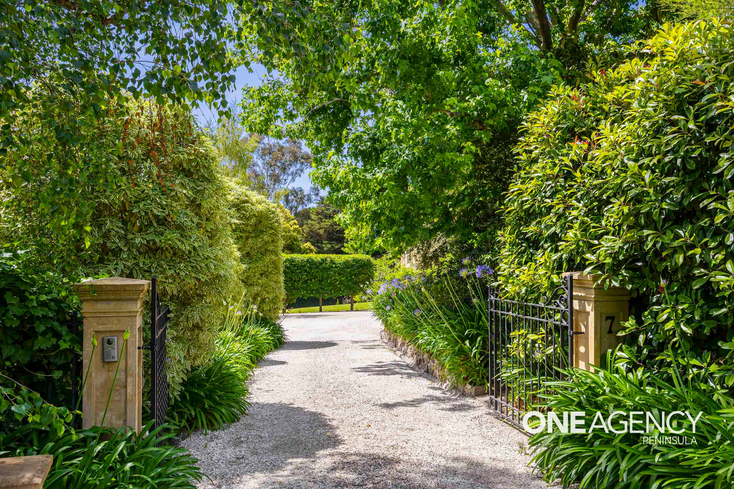 7 Harleston Road, Mount Eliza, Mount Eliza - Thumbnail 4