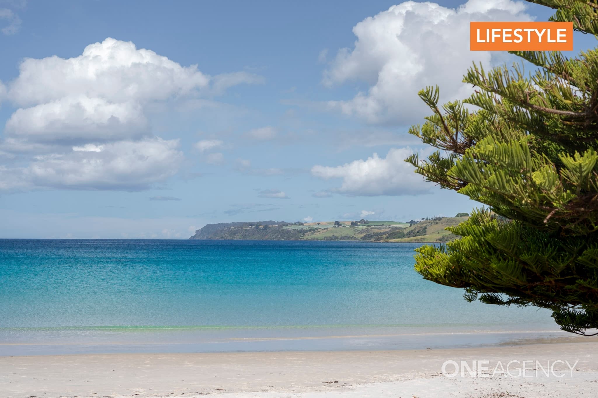 5 Shelter Point Court, Boat Harbour Beach, Boat Harbour Beach - Thumbnail 5