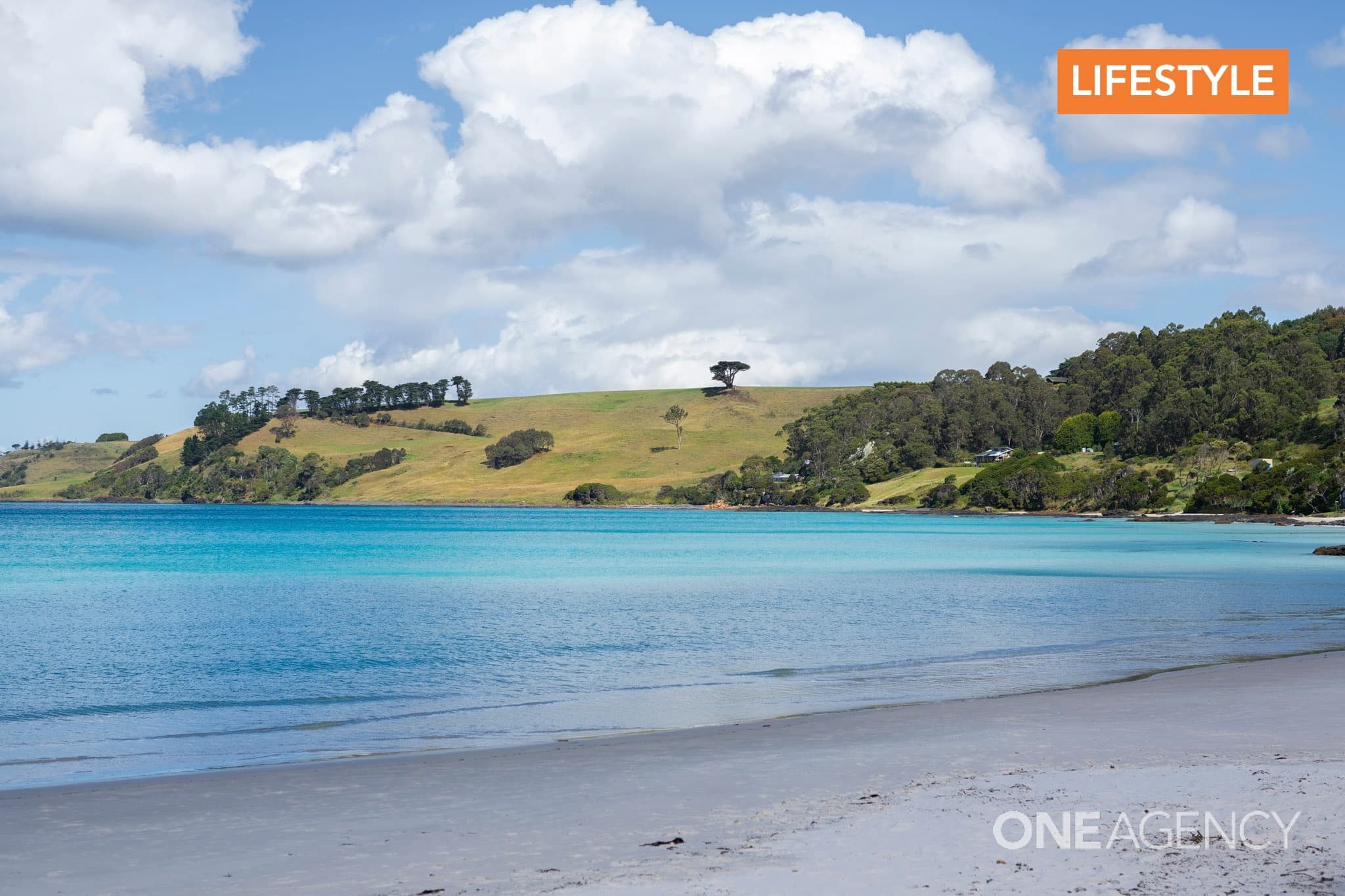 5 Shelter Point Court, Boat Harbour Beach, Boat Harbour Beach - Thumbnail 6