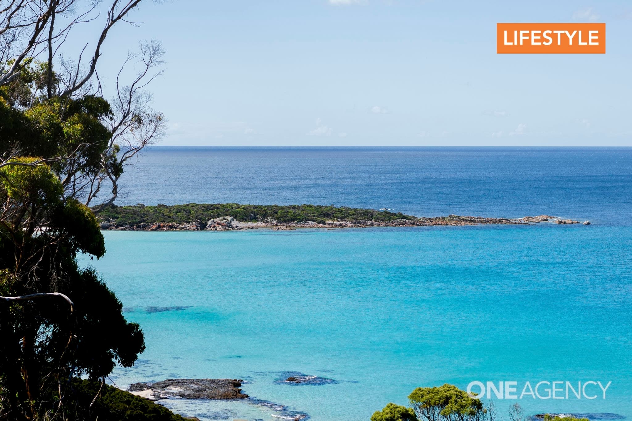 5 Shelter Point Court, Boat Harbour Beach, Boat Harbour Beach - Thumbnail 8