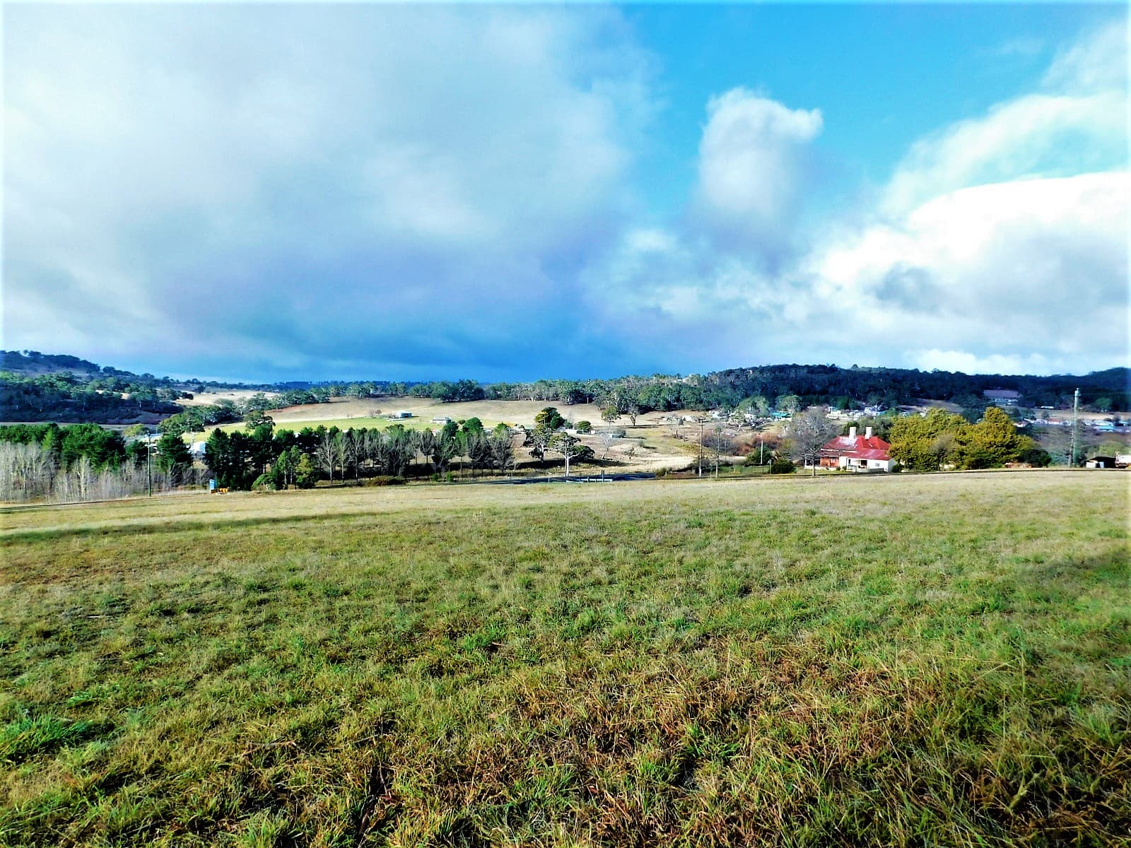 1-11  Chusan Street, Bombala, Bombala - Image 1
