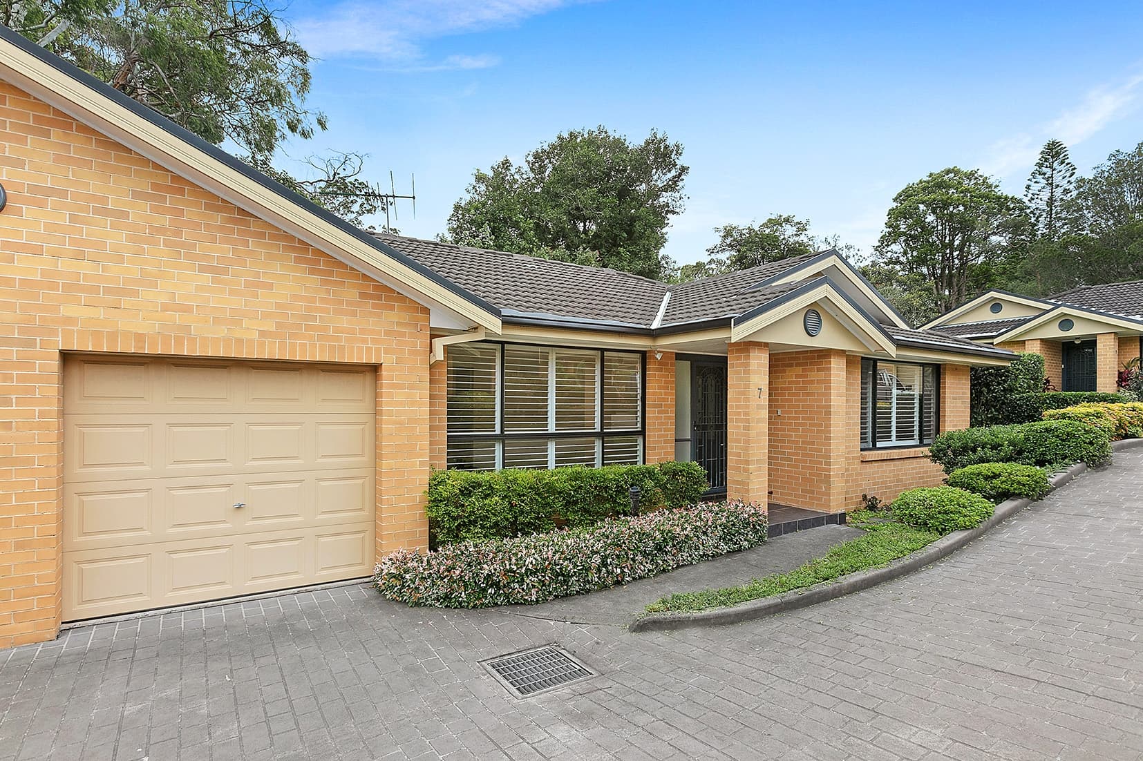 7/23 Darley Street, Forestville, Forestville - Image 1