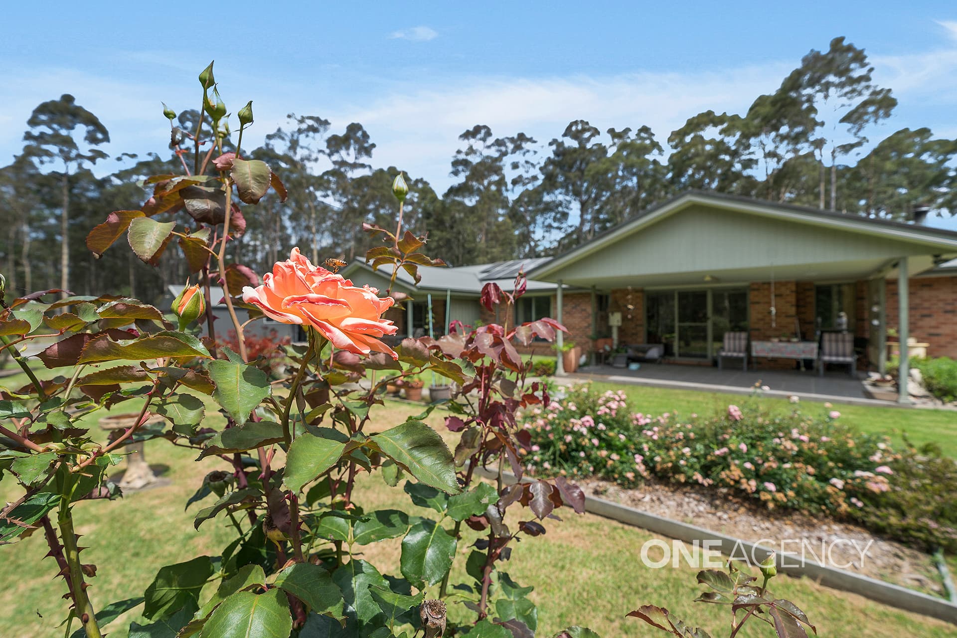 46 Eucalypt Lane, Tomerong, Tomerong - Image 1