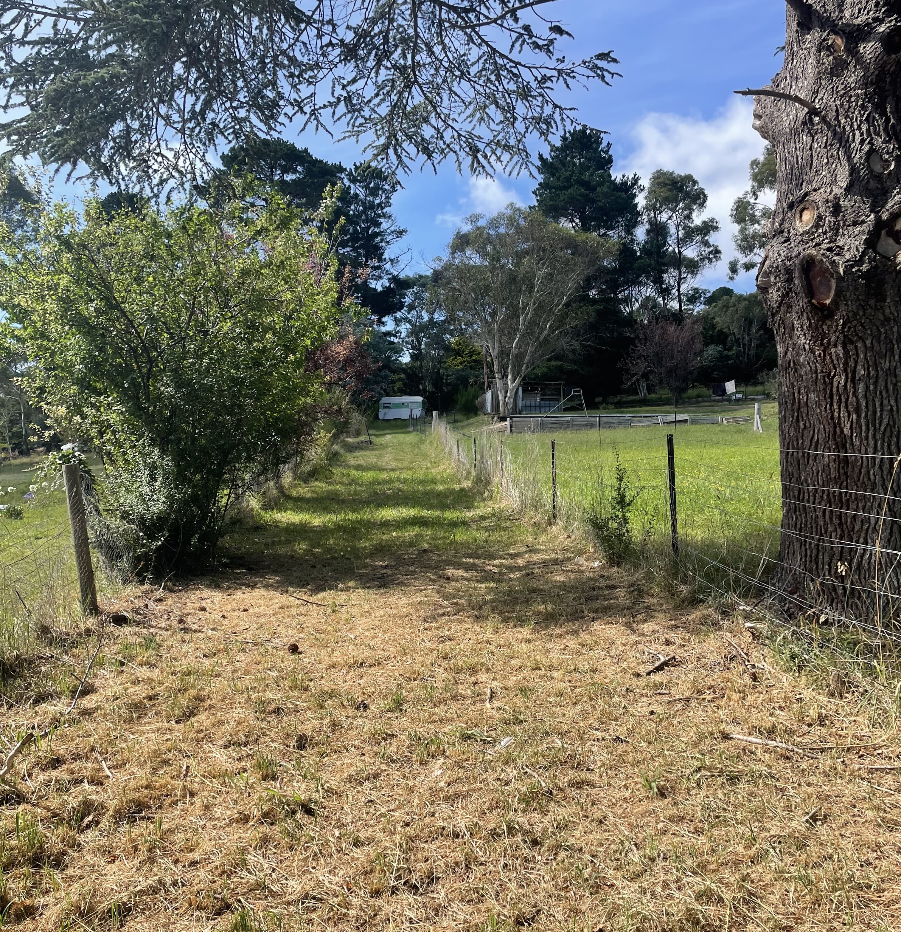 88 Wellington Street, Bombala, Bombala - Thumbnail 2