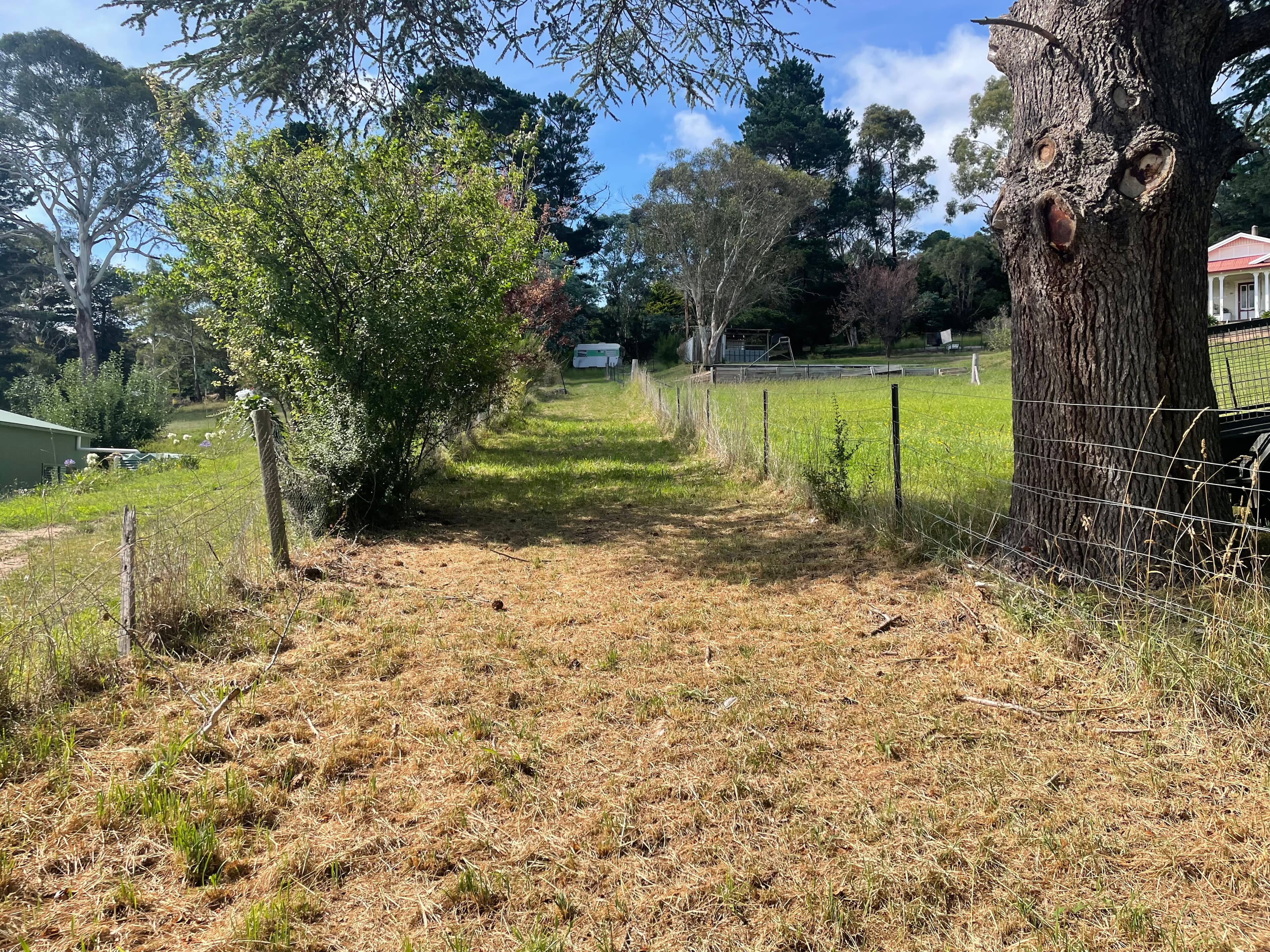 88 Wellington Street, Bombala, Bombala - Thumbnail 4