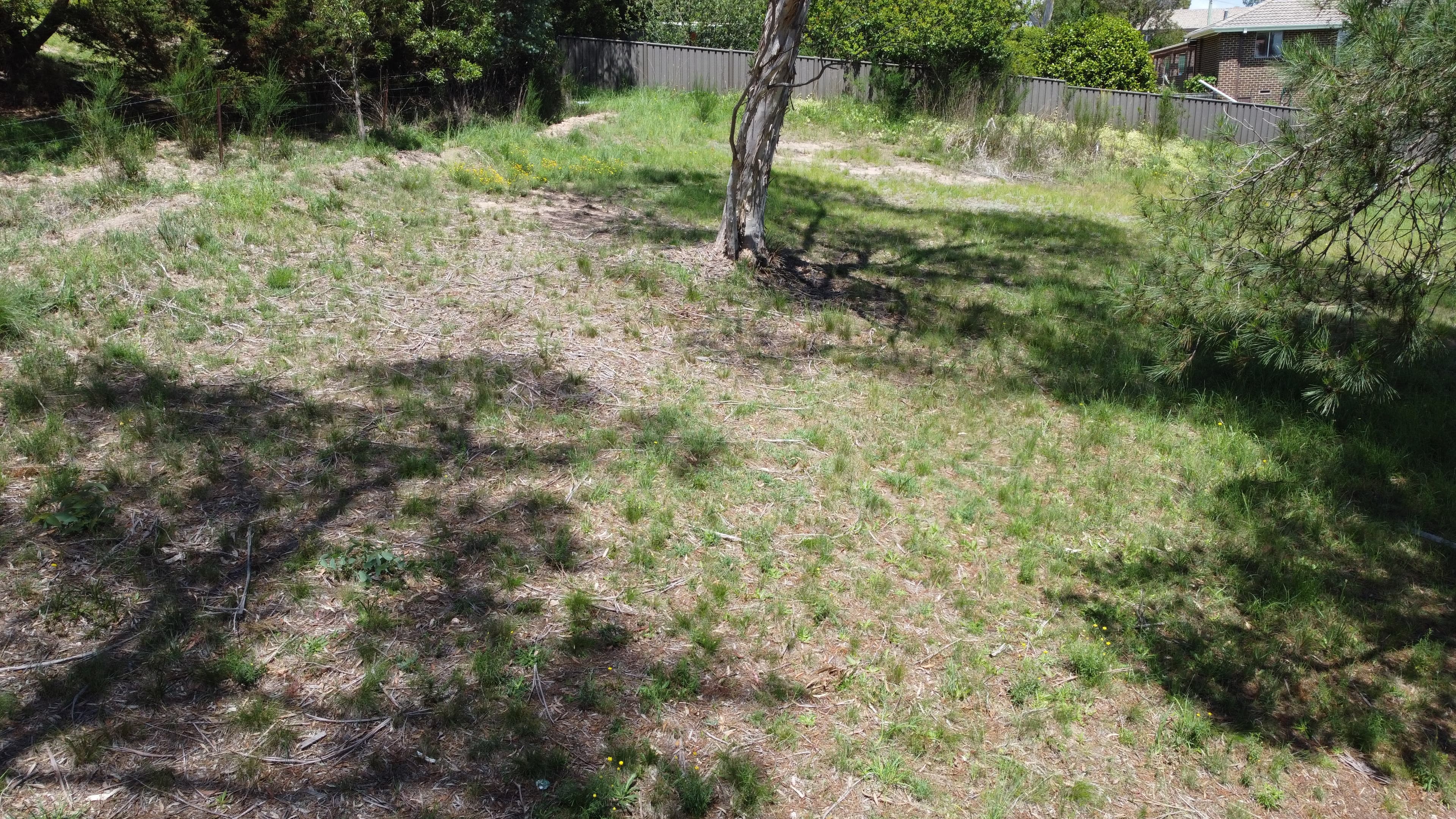 88 Wellington Street, Bombala, Bombala - Thumbnail 5