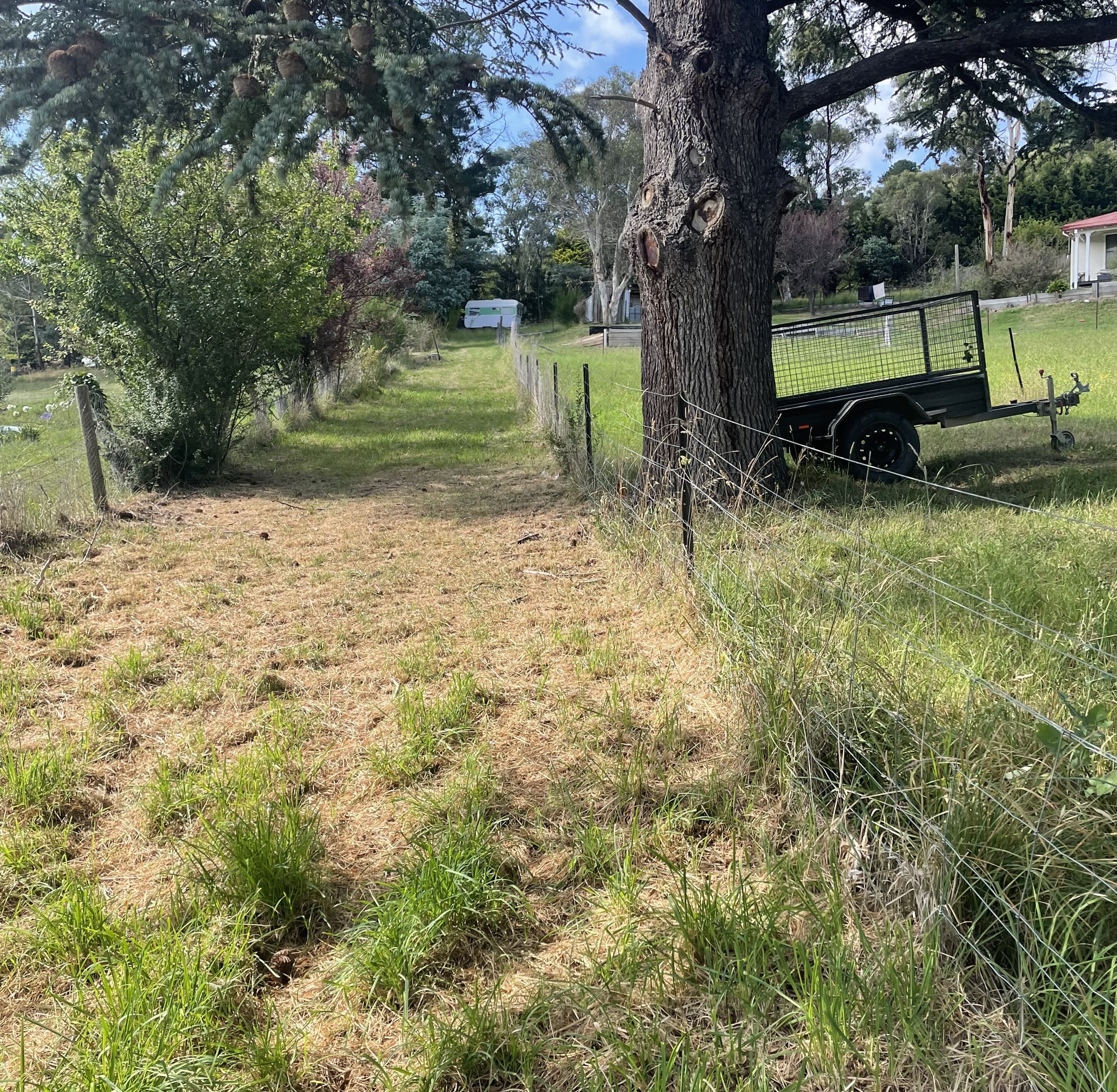 88 Wellington Street, Bombala, Bombala - Thumbnail 6
