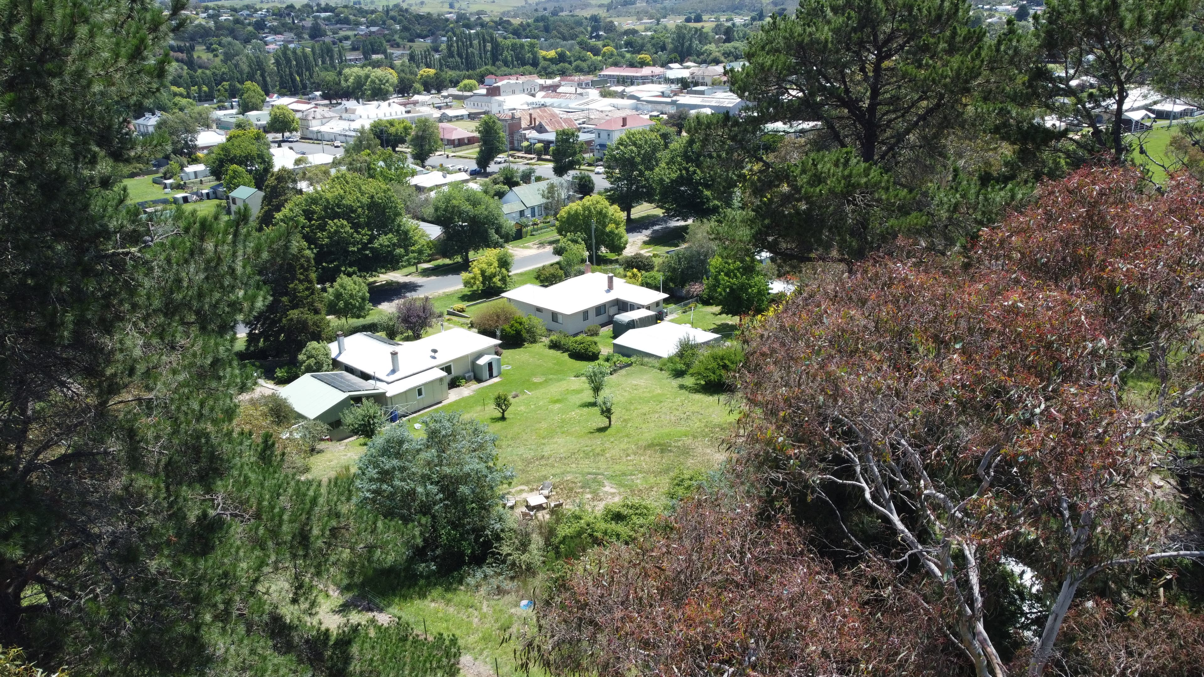 88 Wellington Street, Bombala, Bombala - Thumbnail 7