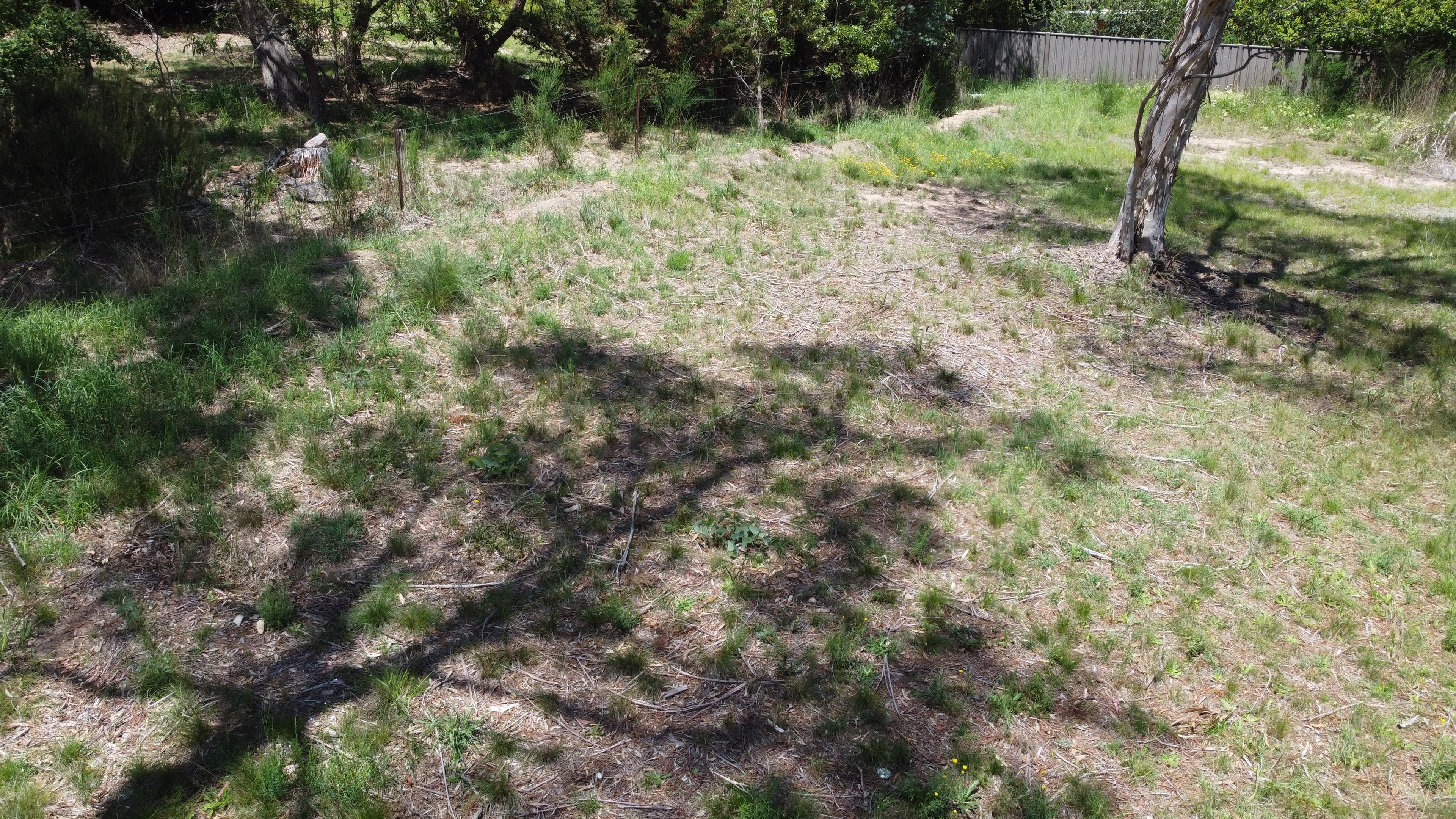 88 Wellington Street, Bombala, Bombala - Thumbnail 8