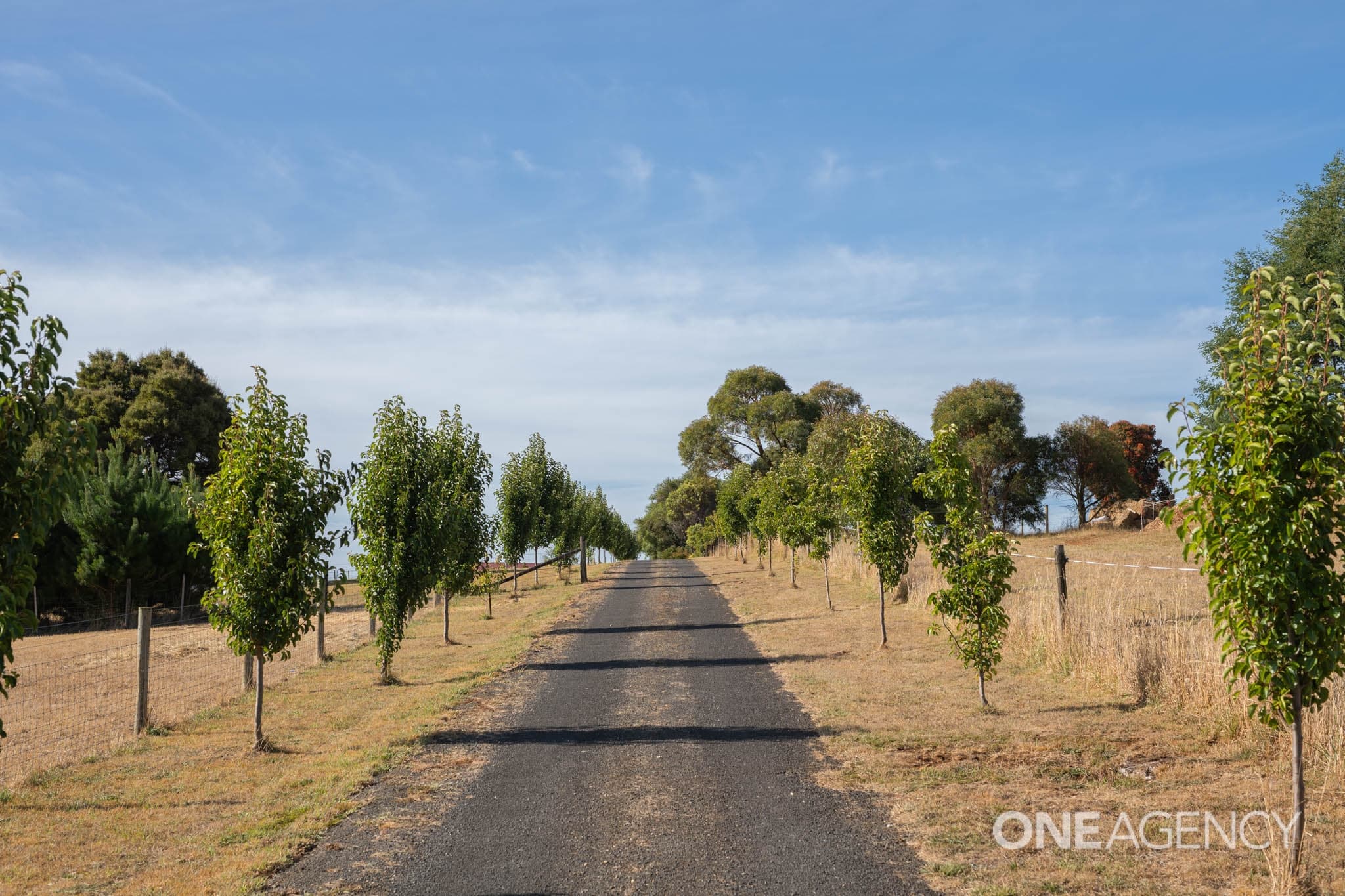 154 Little Village Lane, Somerset, Somerset - Thumbnail 4