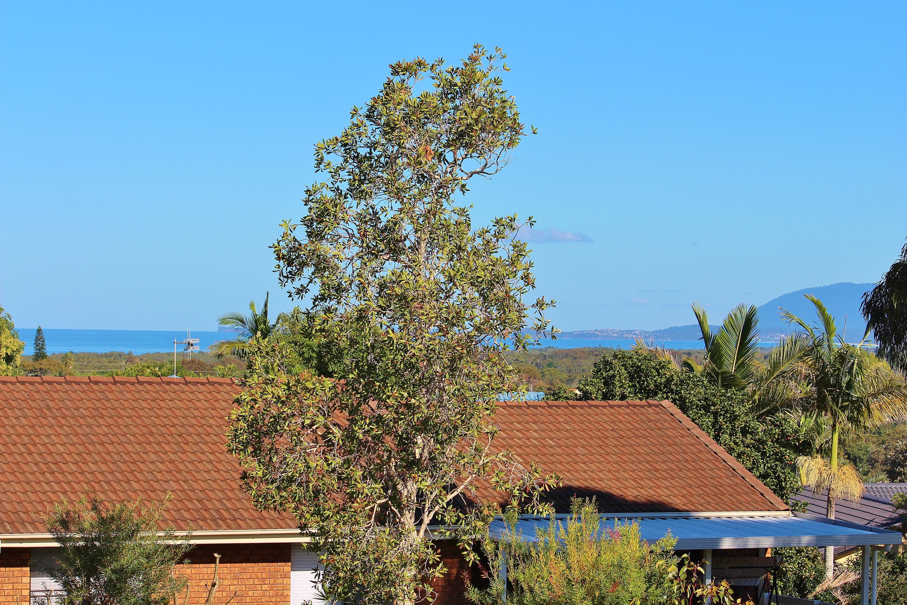 3 The Plateau, Port Macquarie, Port Macquarie - Thumbnail 3