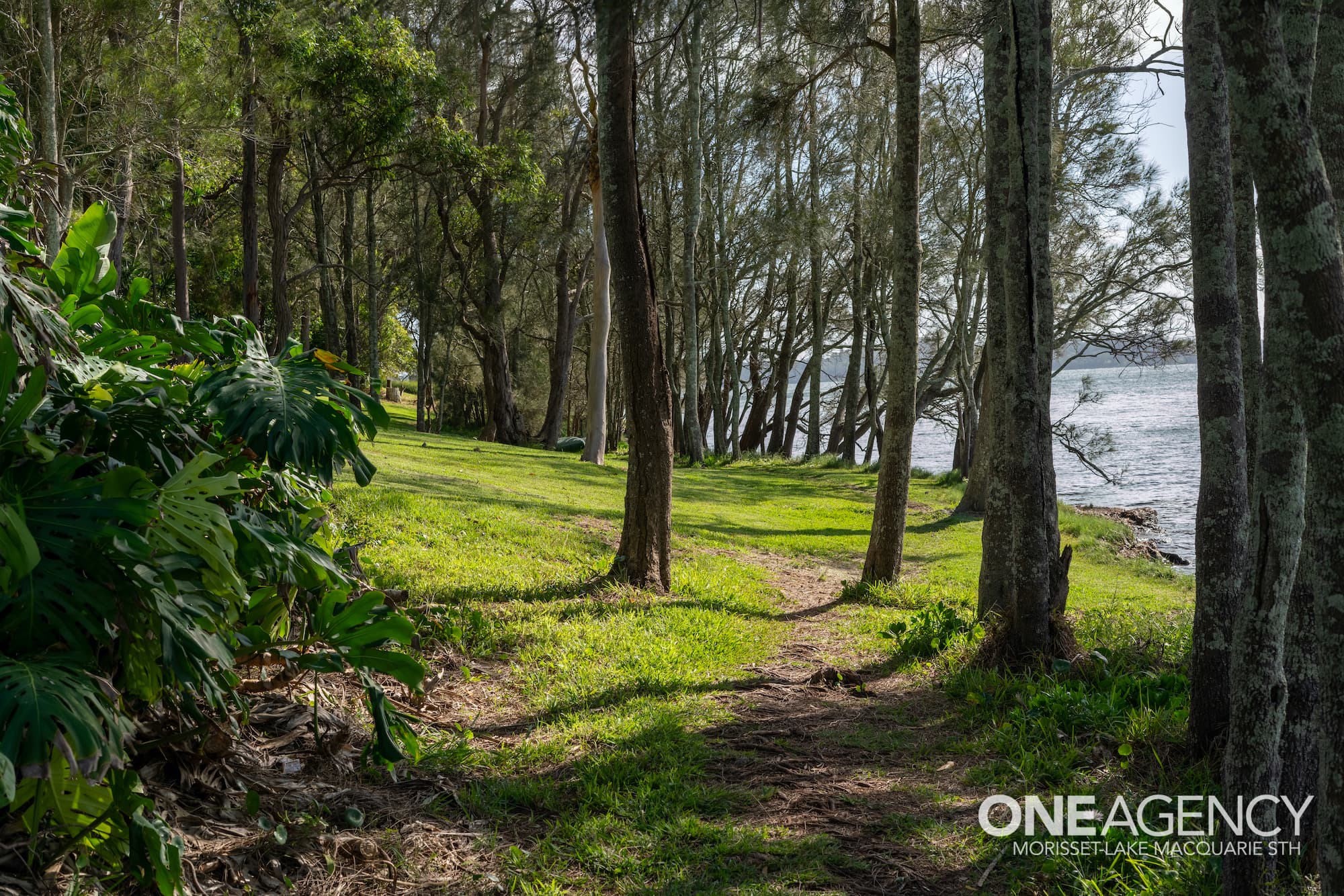 19B Silverwater Road, Silverwater, Silverwater - Thumbnail 4