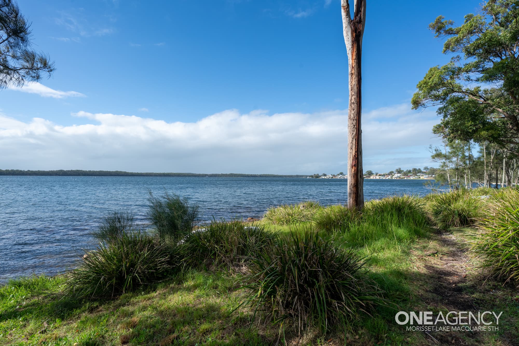 19B Silverwater Road, Silverwater, Silverwater - Thumbnail 5