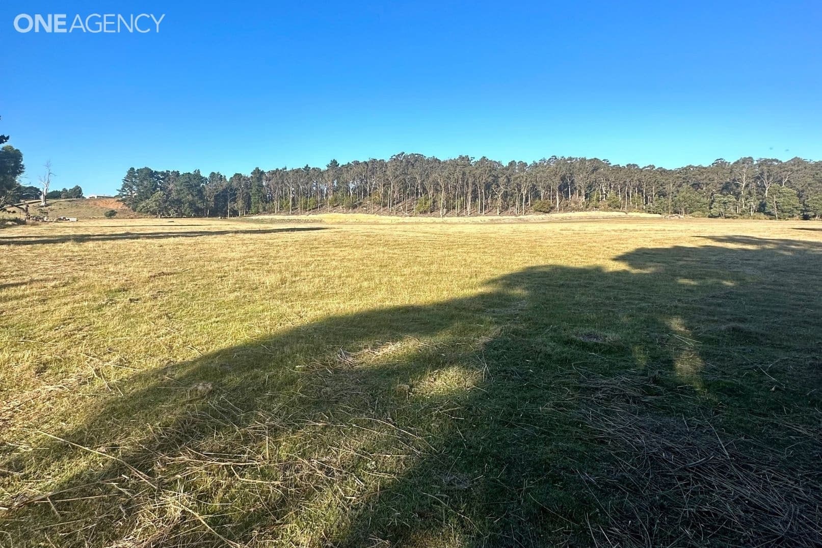 Benny Street, Latrobe, Latrobe - Thumbnail 3