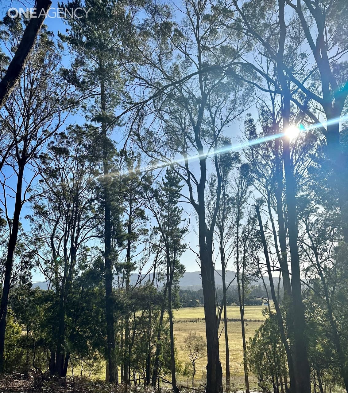 Benny Street, Latrobe, Latrobe - Thumbnail 7