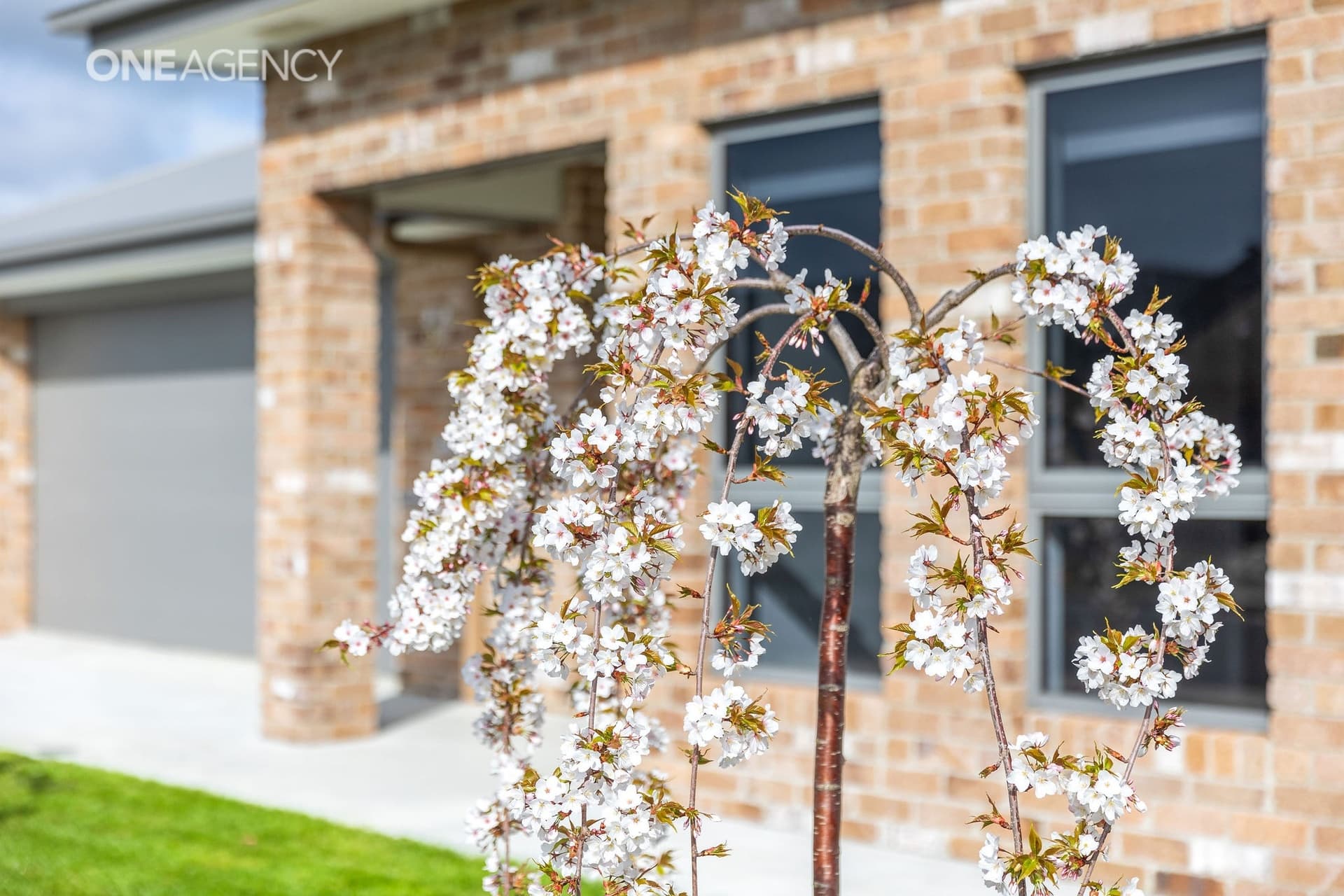 2 Kae Campbell Close, Latrobe, Latrobe - Thumbnail 2