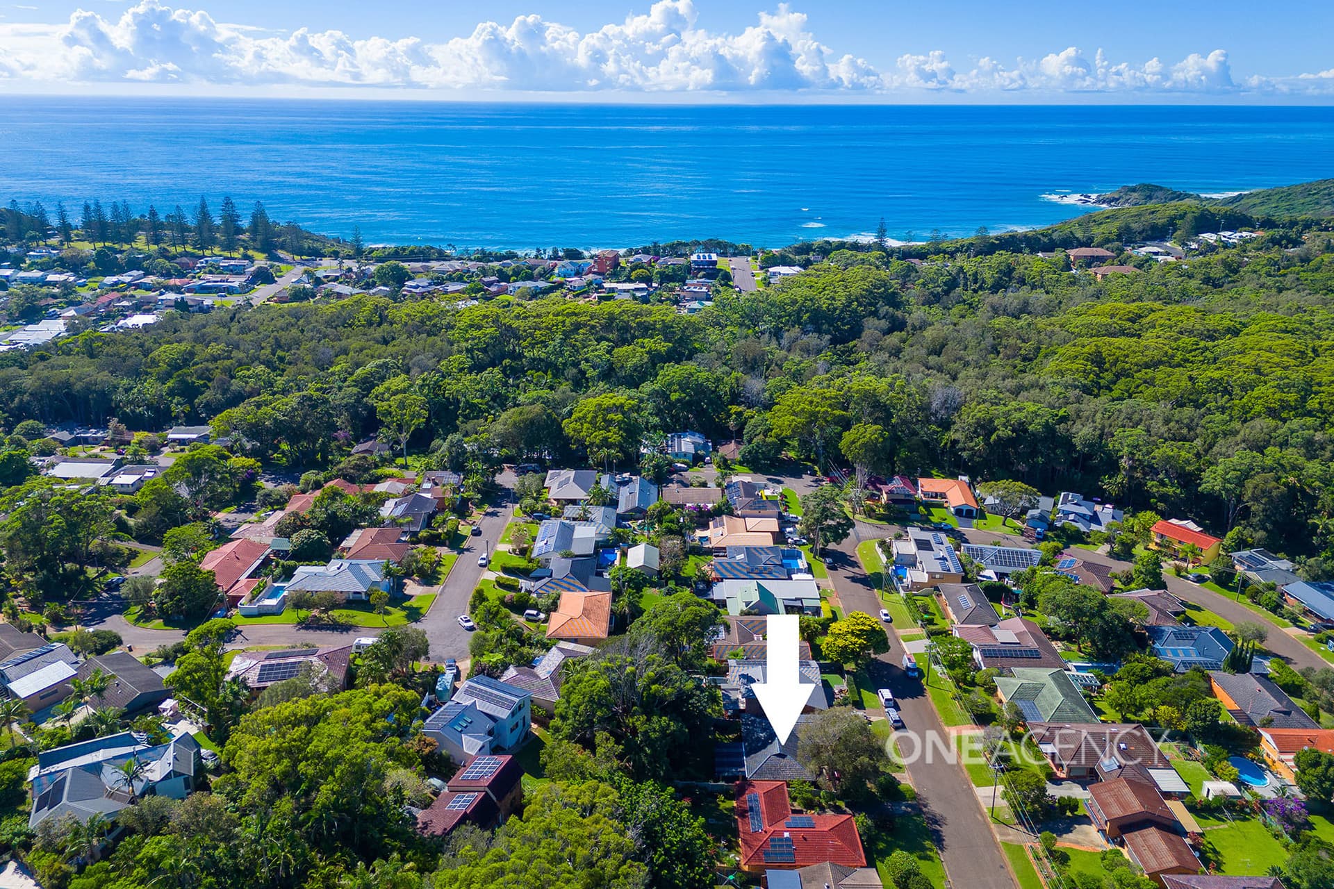 21 Parklands Avenue, Port Macquarie, Port Macquarie - Image 1