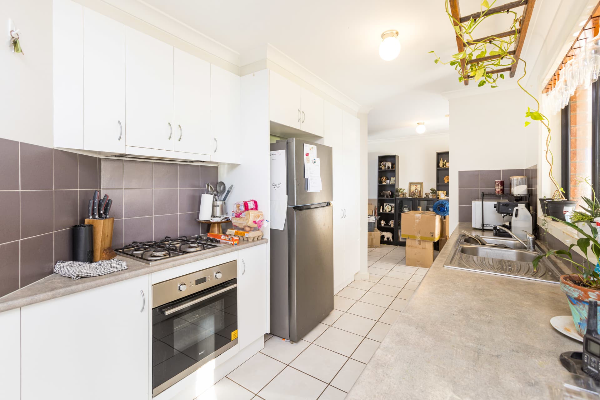 2 Merlot Court, Mildura, Mildura - Thumbnail 7