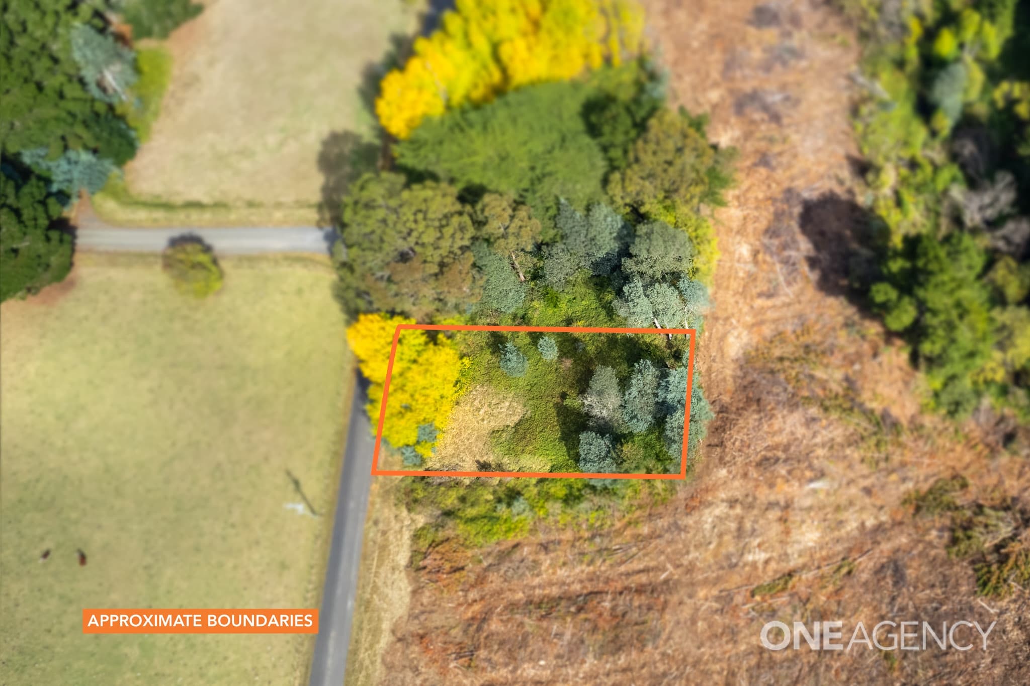 44 Oonah Road, Tewkesbury, Tewkesbury - Thumbnail 4