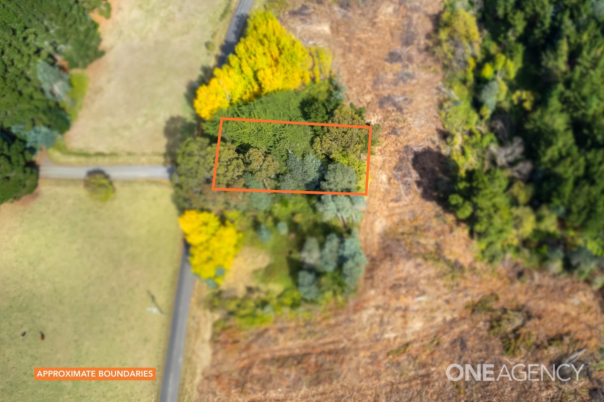 44 Oonah Road, Tewkesbury, Tewkesbury - Thumbnail 5